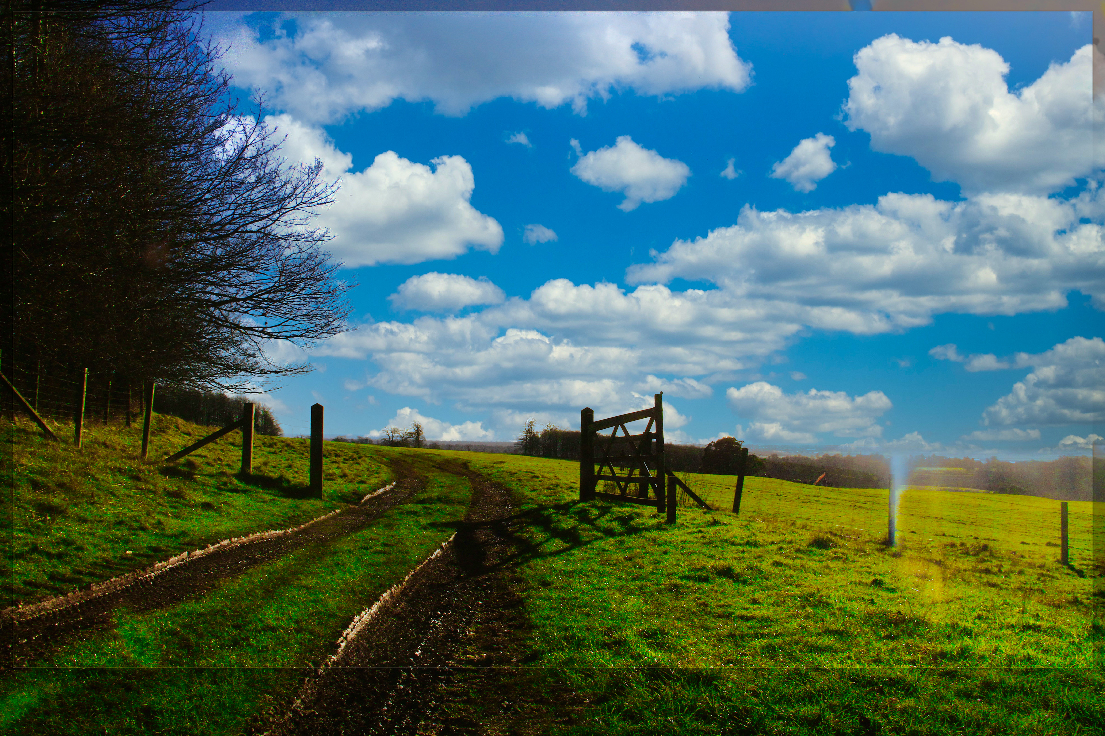Way to Heaven