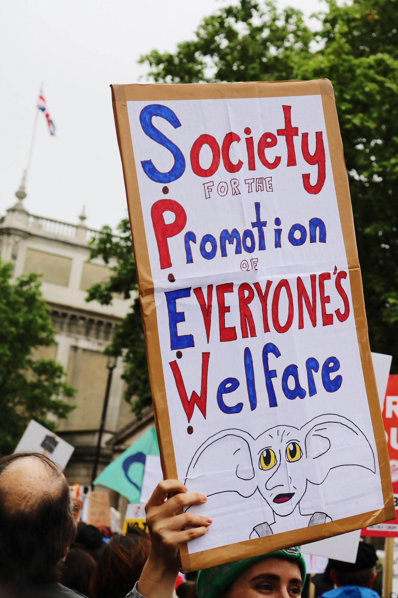 the Trump Protest, June 2019