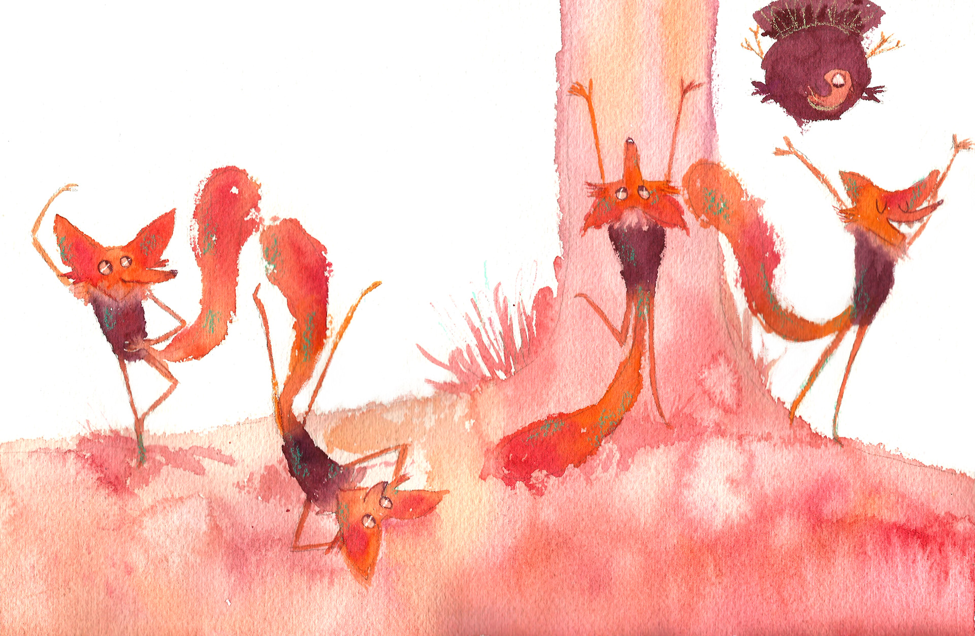 Os Perus e a Raposa / The Fox and the Turkeys