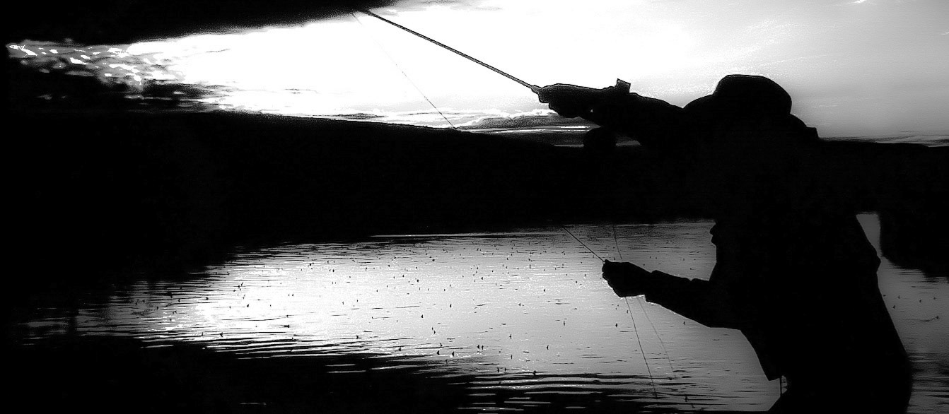 Brown Drakes - Silver Creek