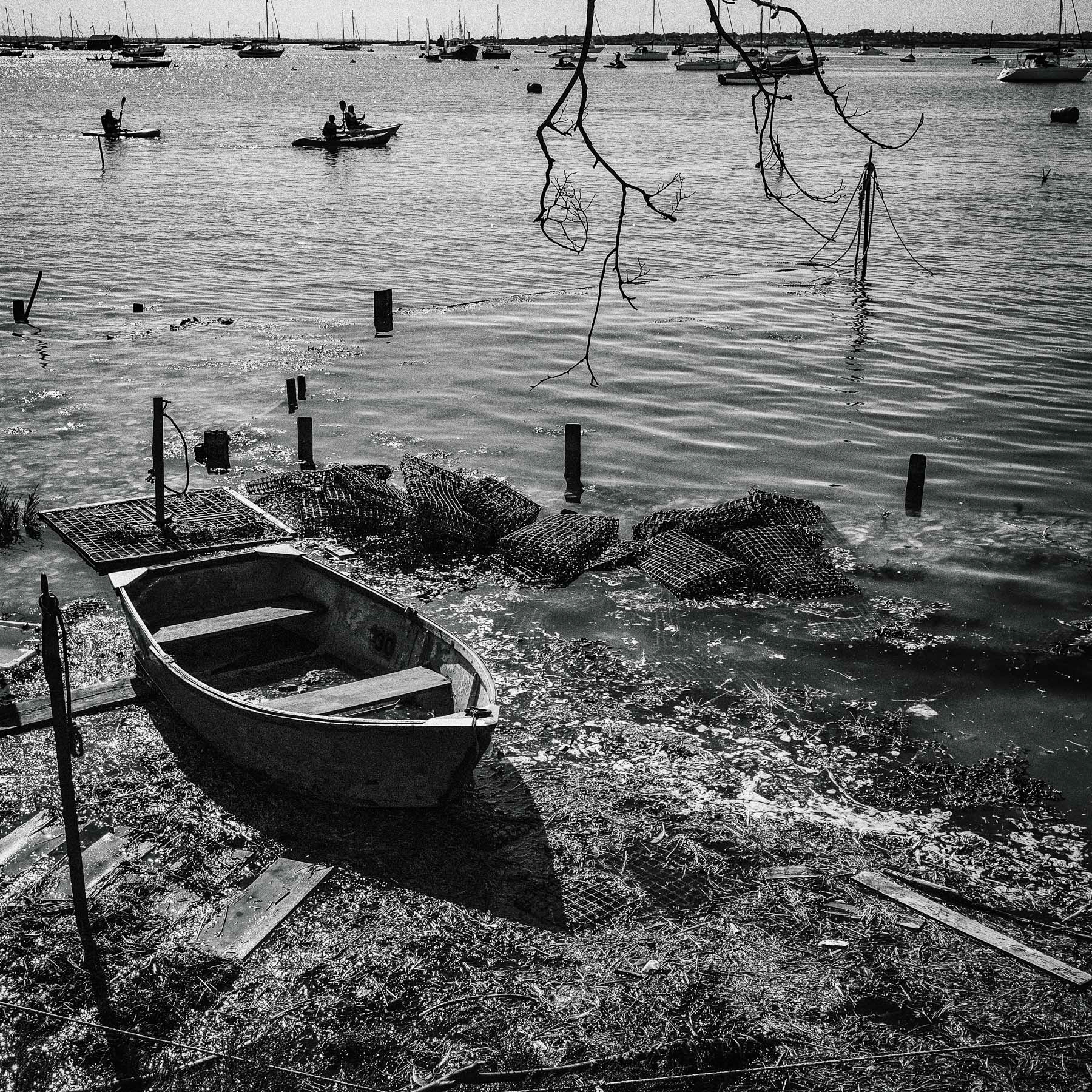 Mersea Island, Essex, September 2019