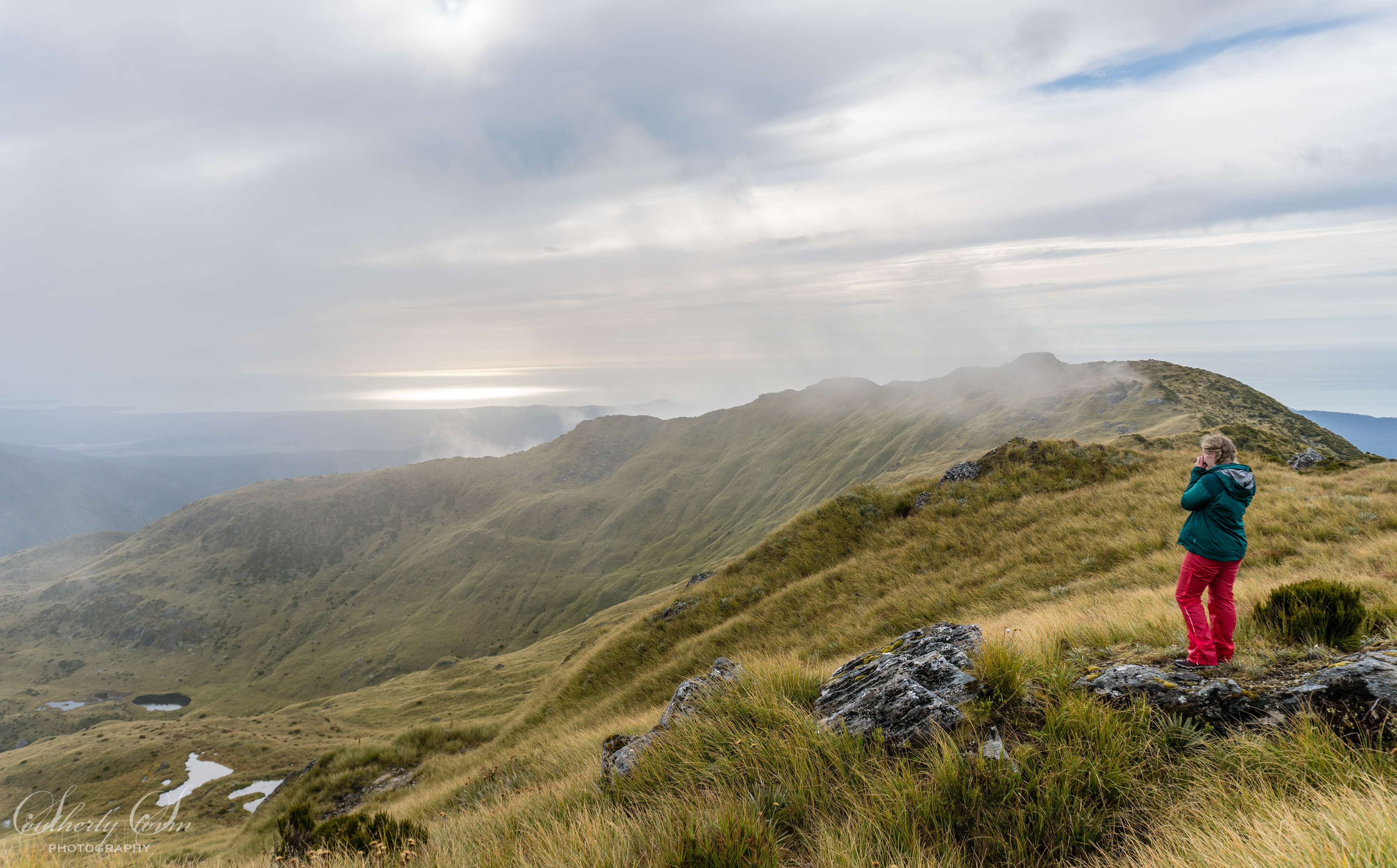 Tramper on a tussock ridge