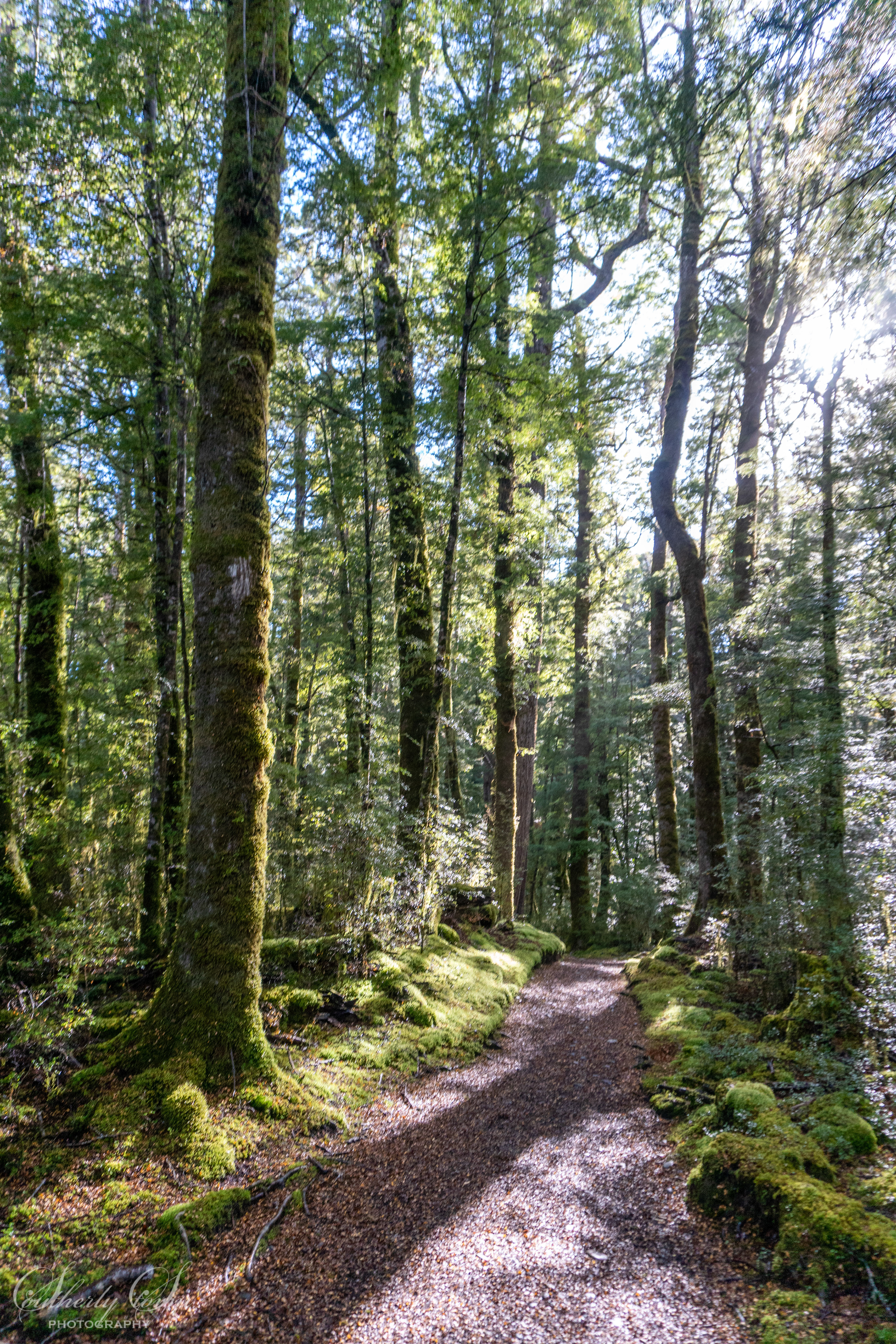 The Kepler Track