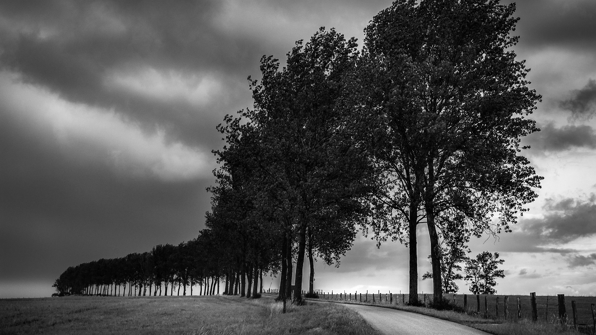 vers Cerville - du côte de Nancy