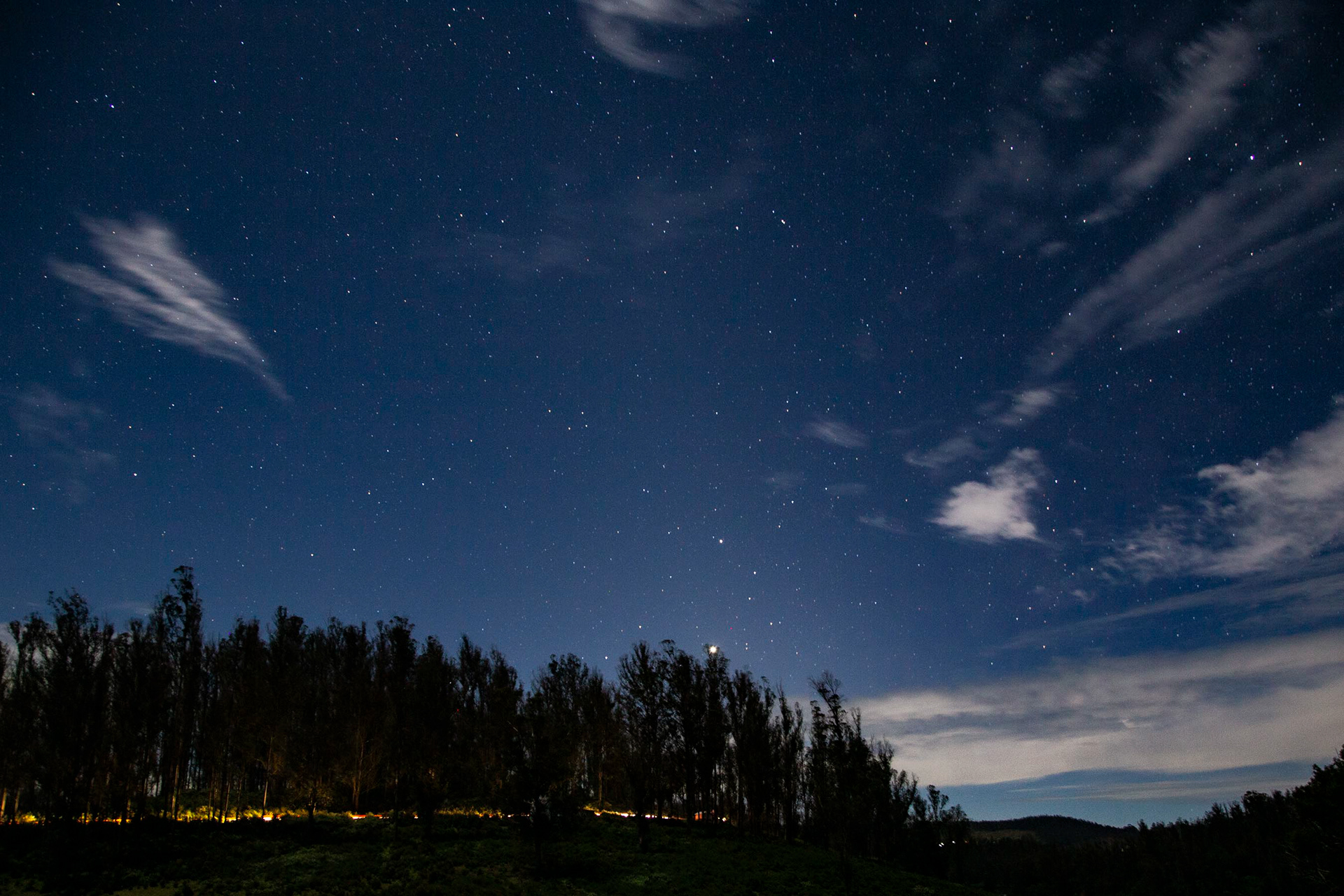 Starry Night, Ooty 