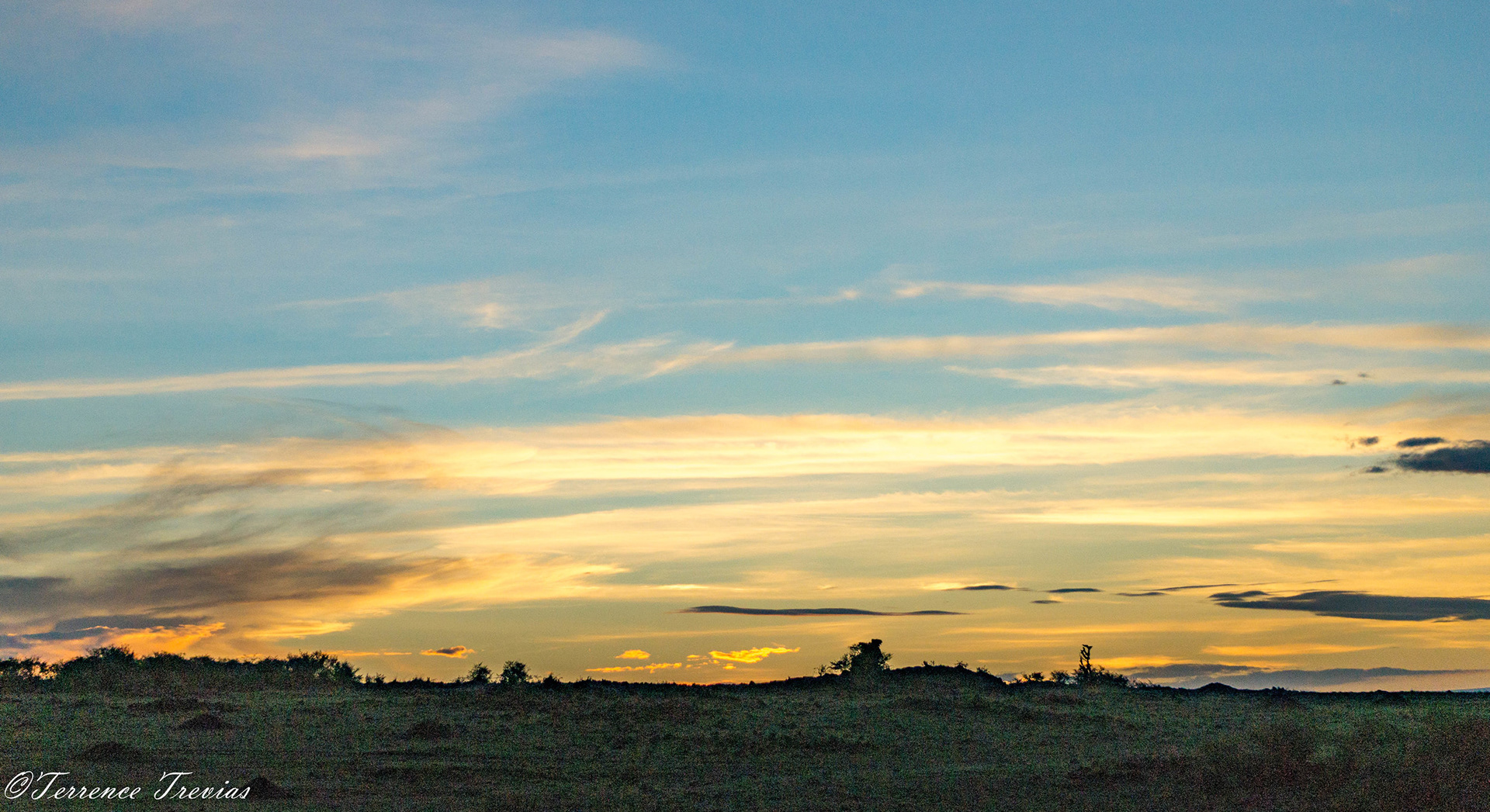 The golden hour