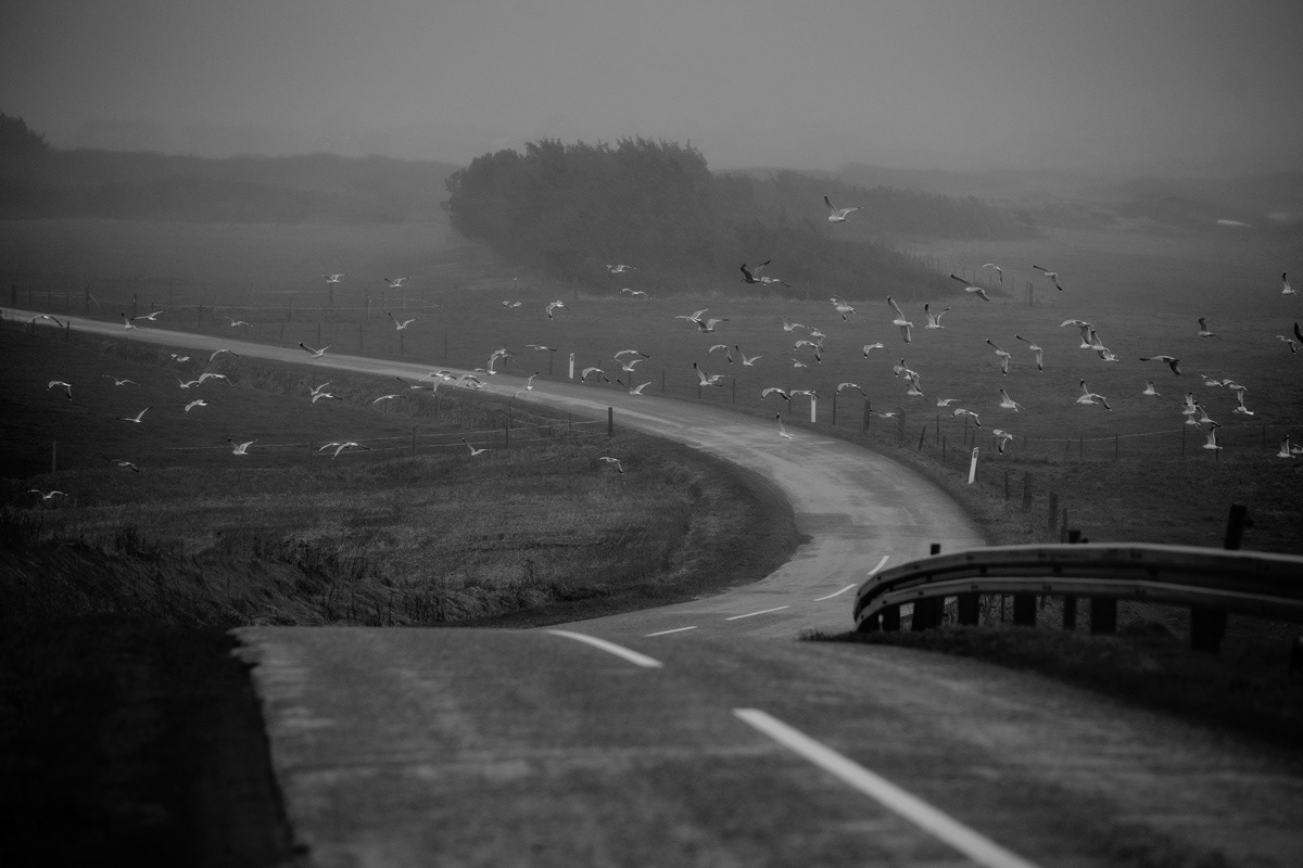 West coast, Denmark