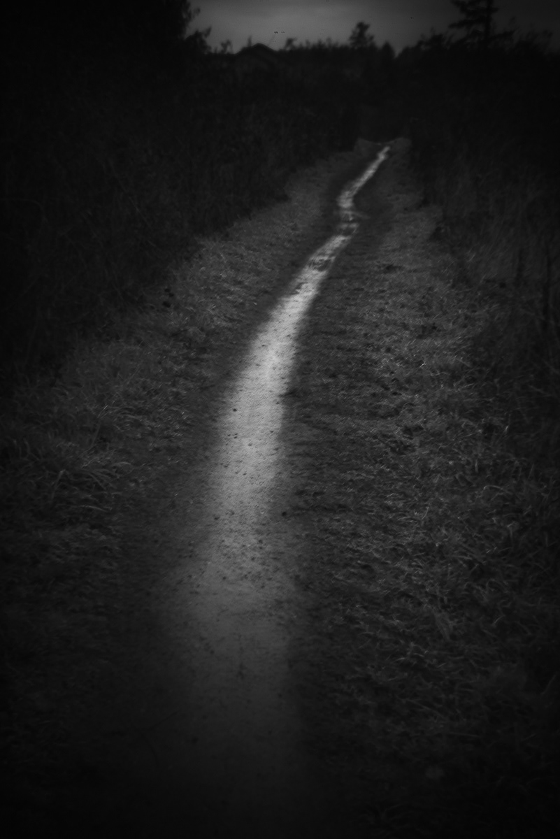 Many Paths, No Wrong Turnings