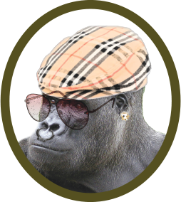 Ami the gorilla