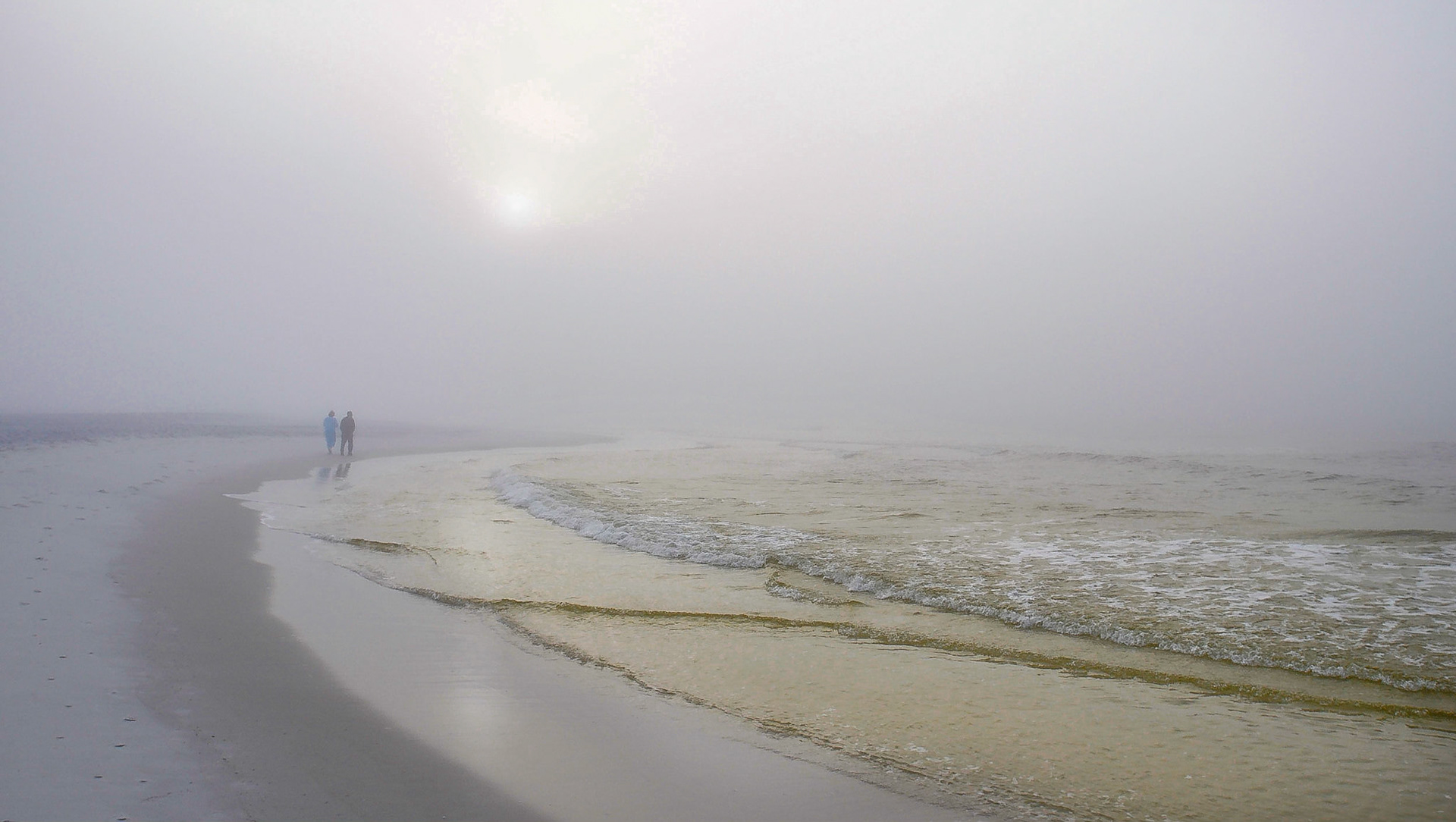 "Mistwalkers", Florida, 2008