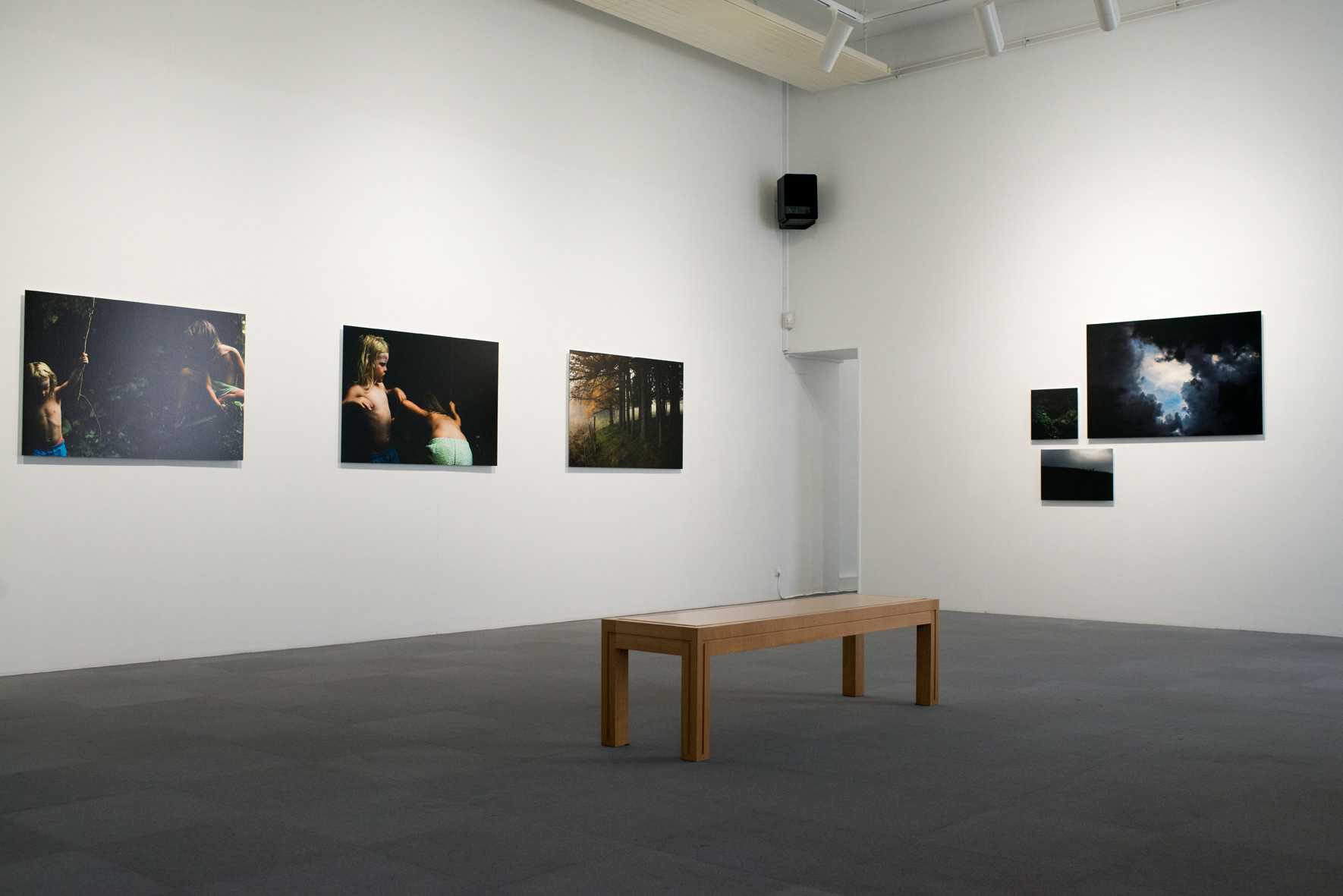 Saisons noires - Musée de La Roche-sur-Yon – 2016