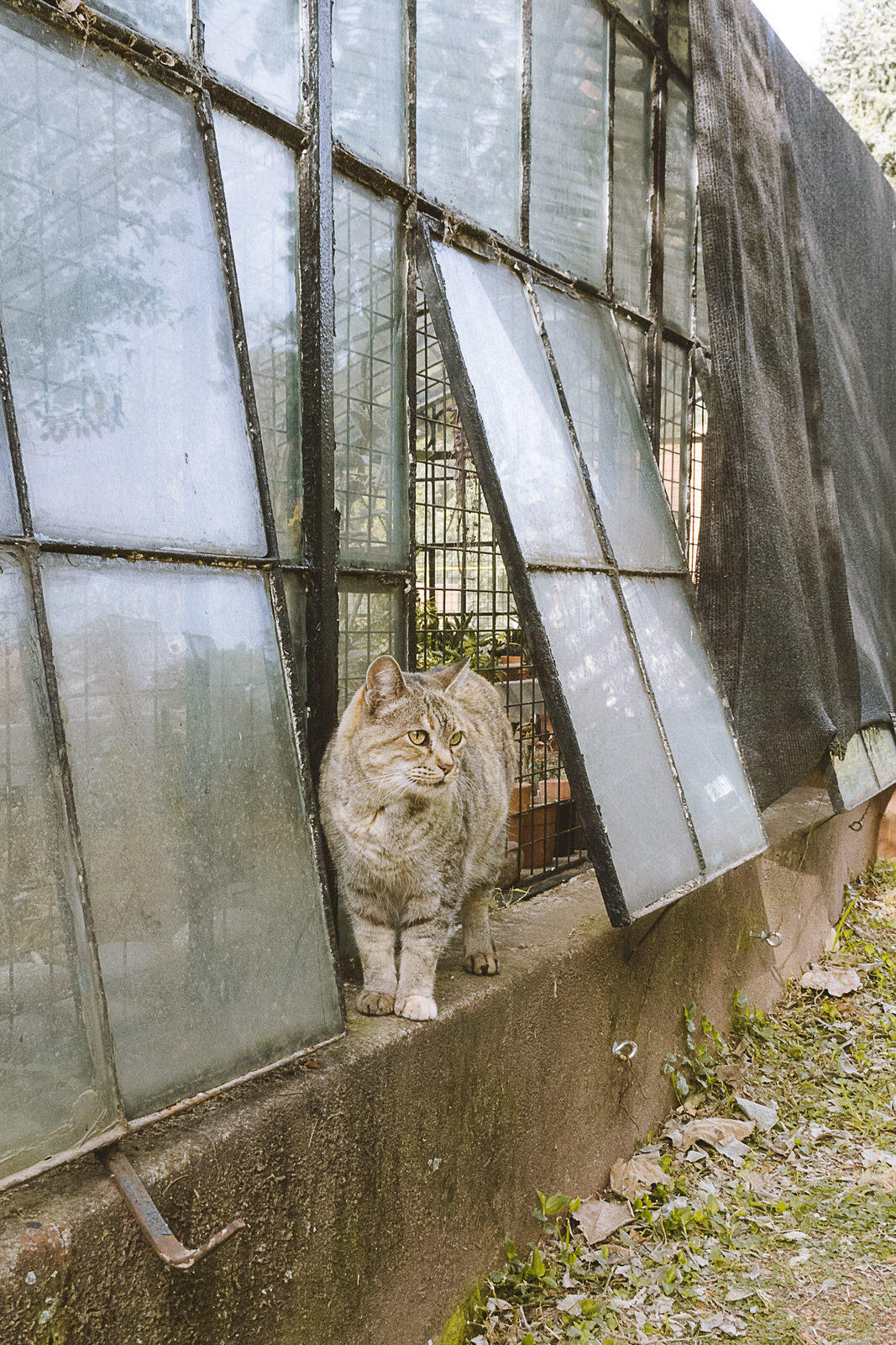 Jardín Botánico de Buenos Aires