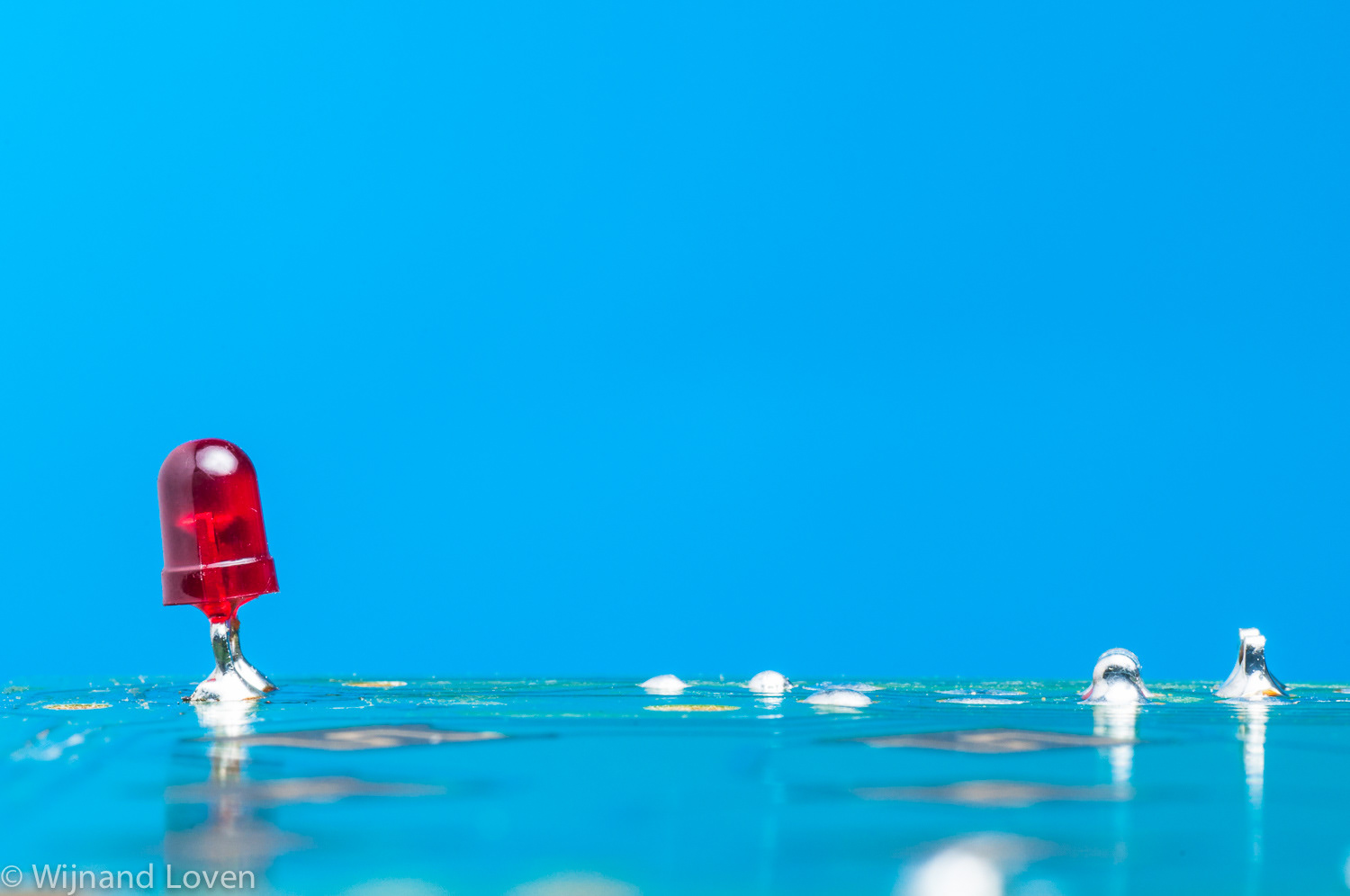 Macro photography of electronic components