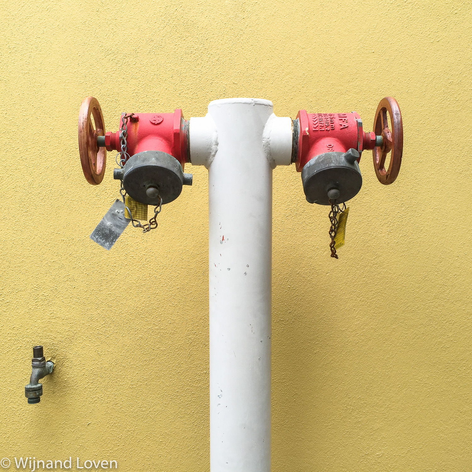 mobile photography - colorful things
