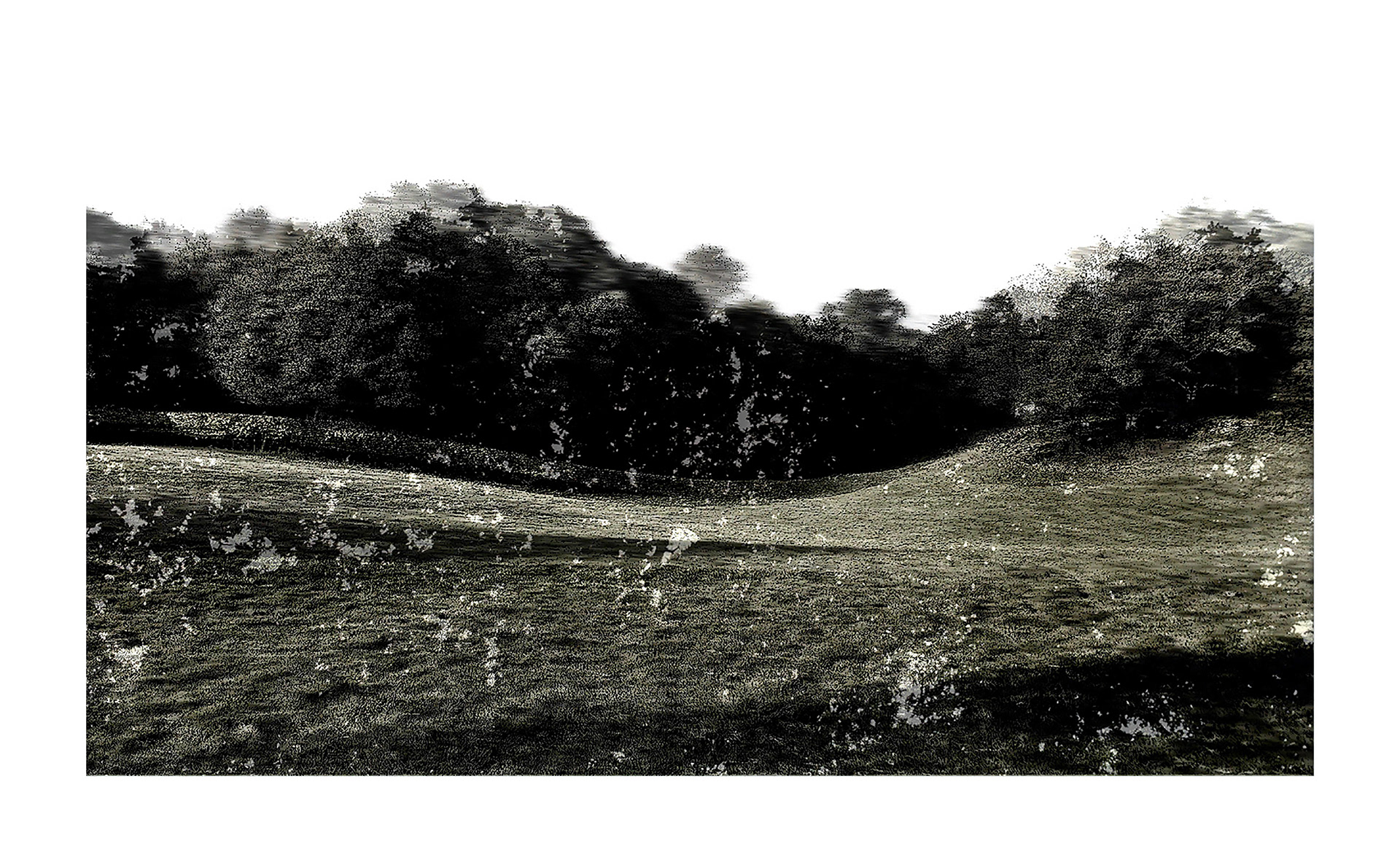 Field 6