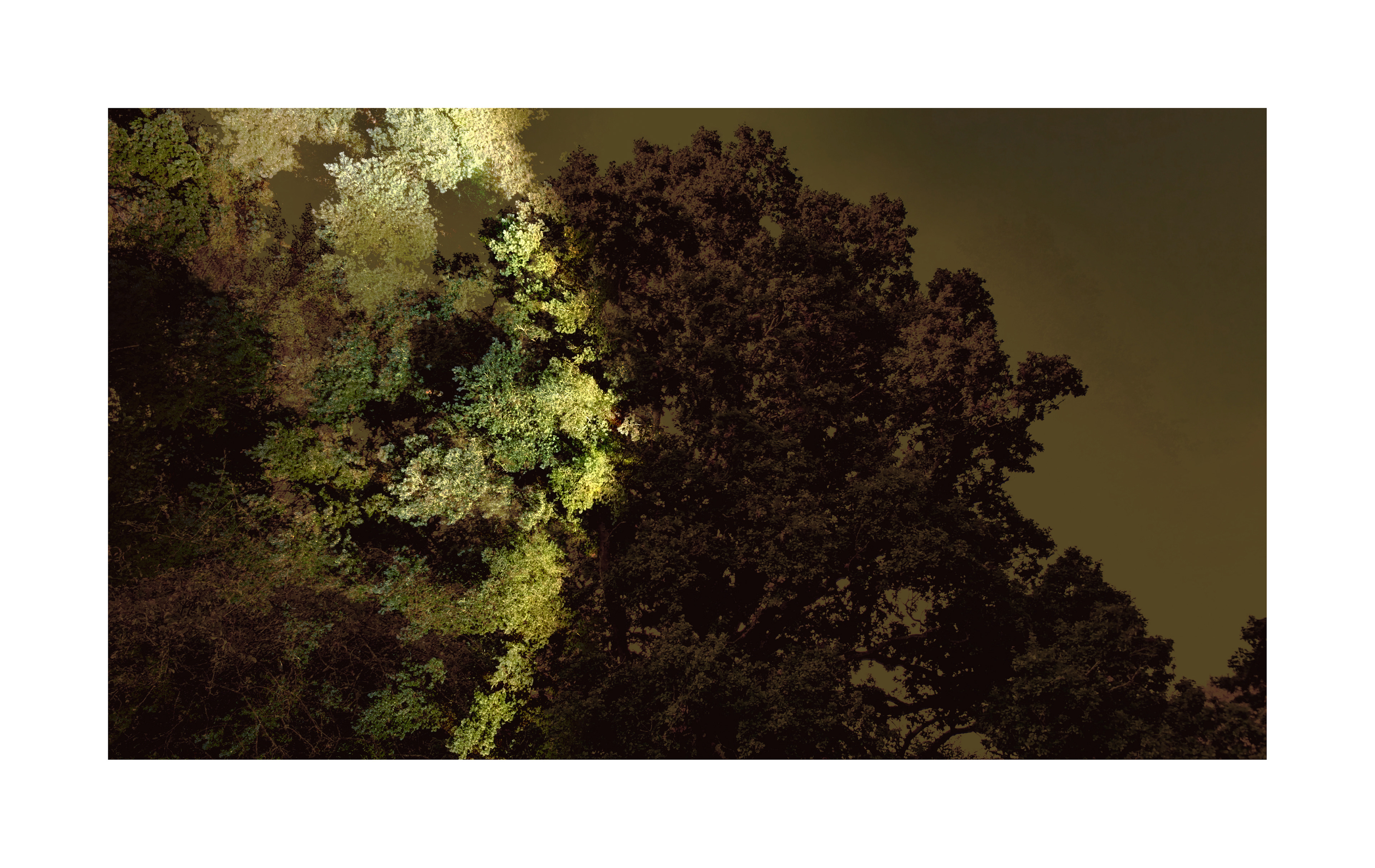 Grounds 2