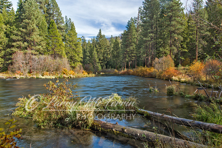 Metolius River, Deschutes County, Oregon - Image #2812