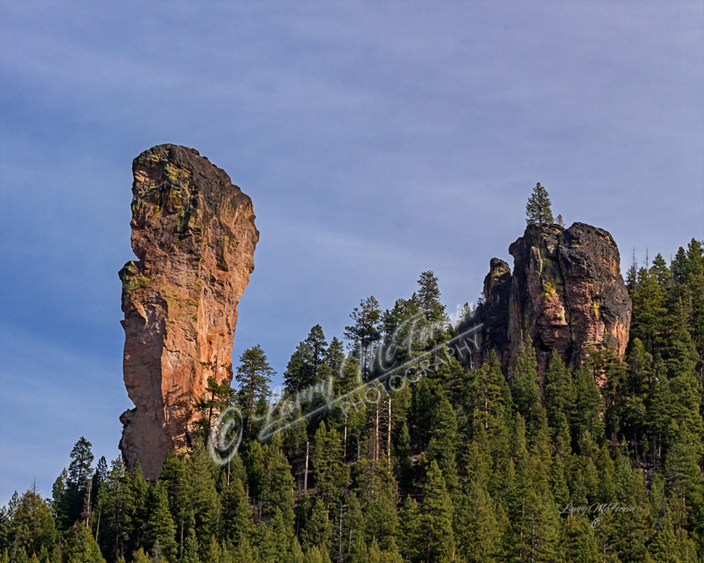 Steins Pillar, Crook County, Oregon - Image #6078