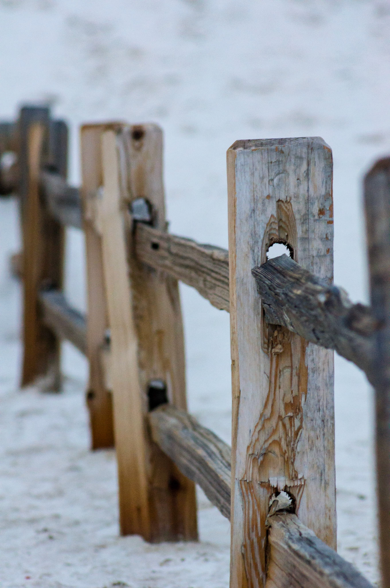Split Rail Fence at White Sands