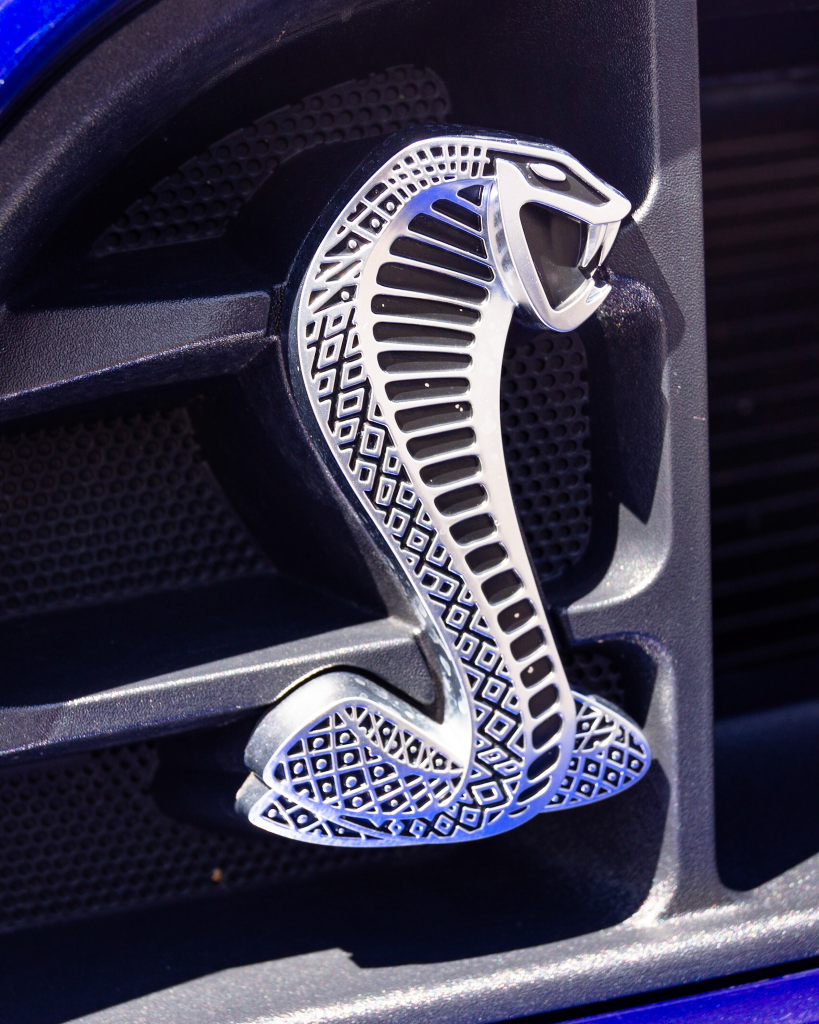 Cobra Emblem