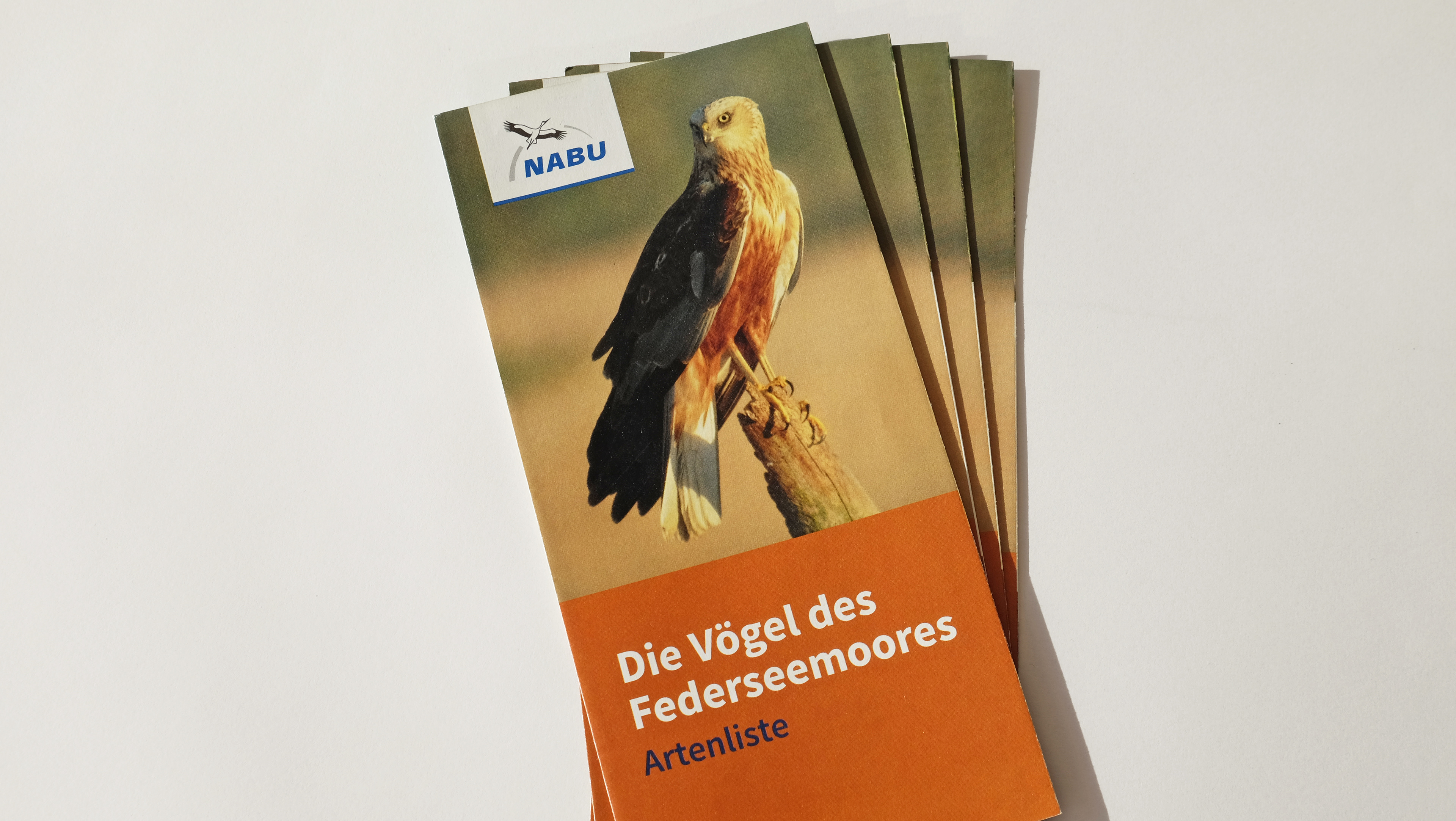 NABU Federsee - Flyer