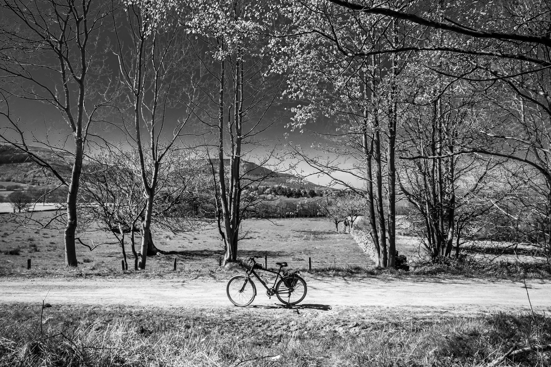 Cycle Dreams