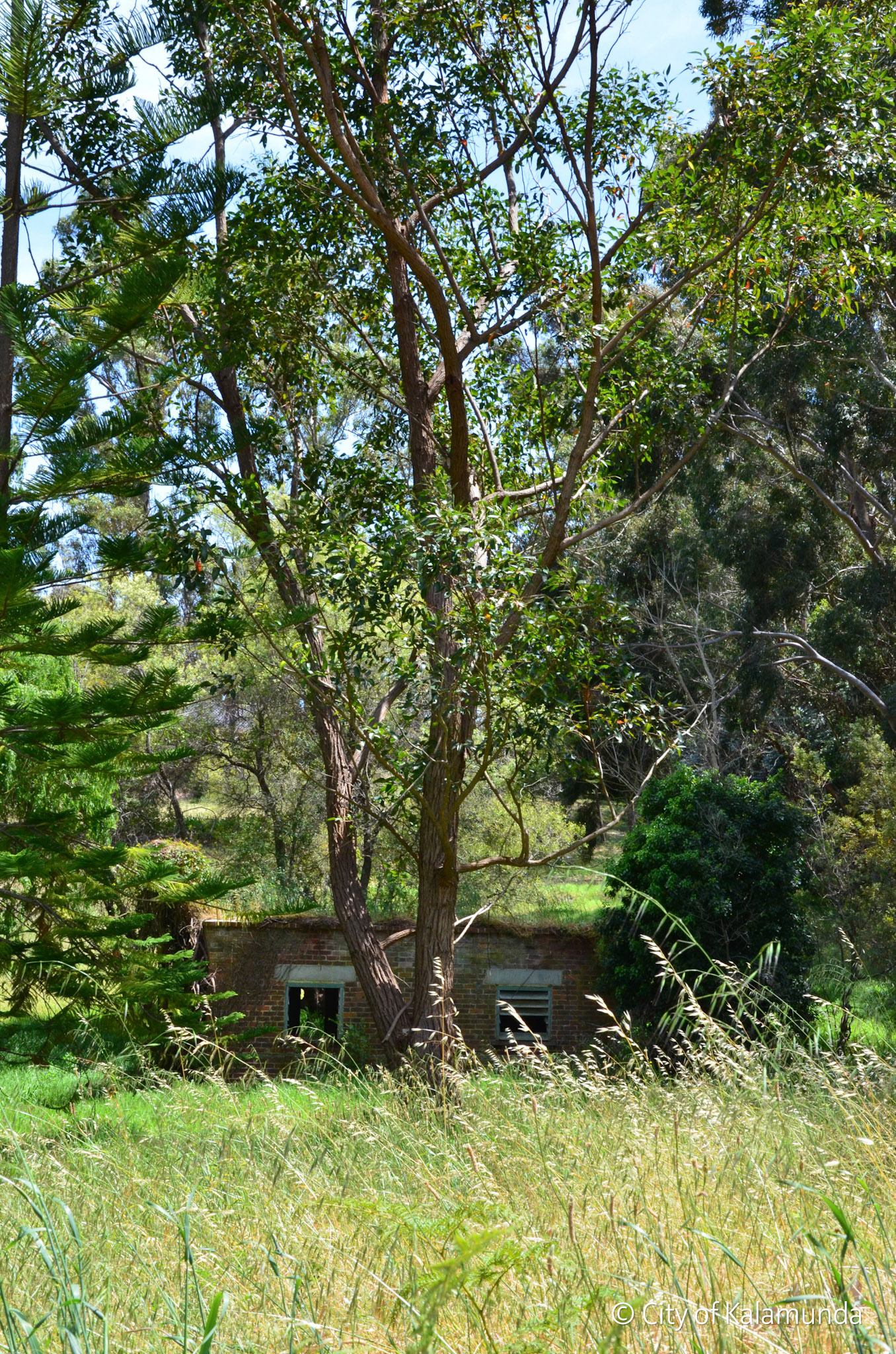 Kalamunda