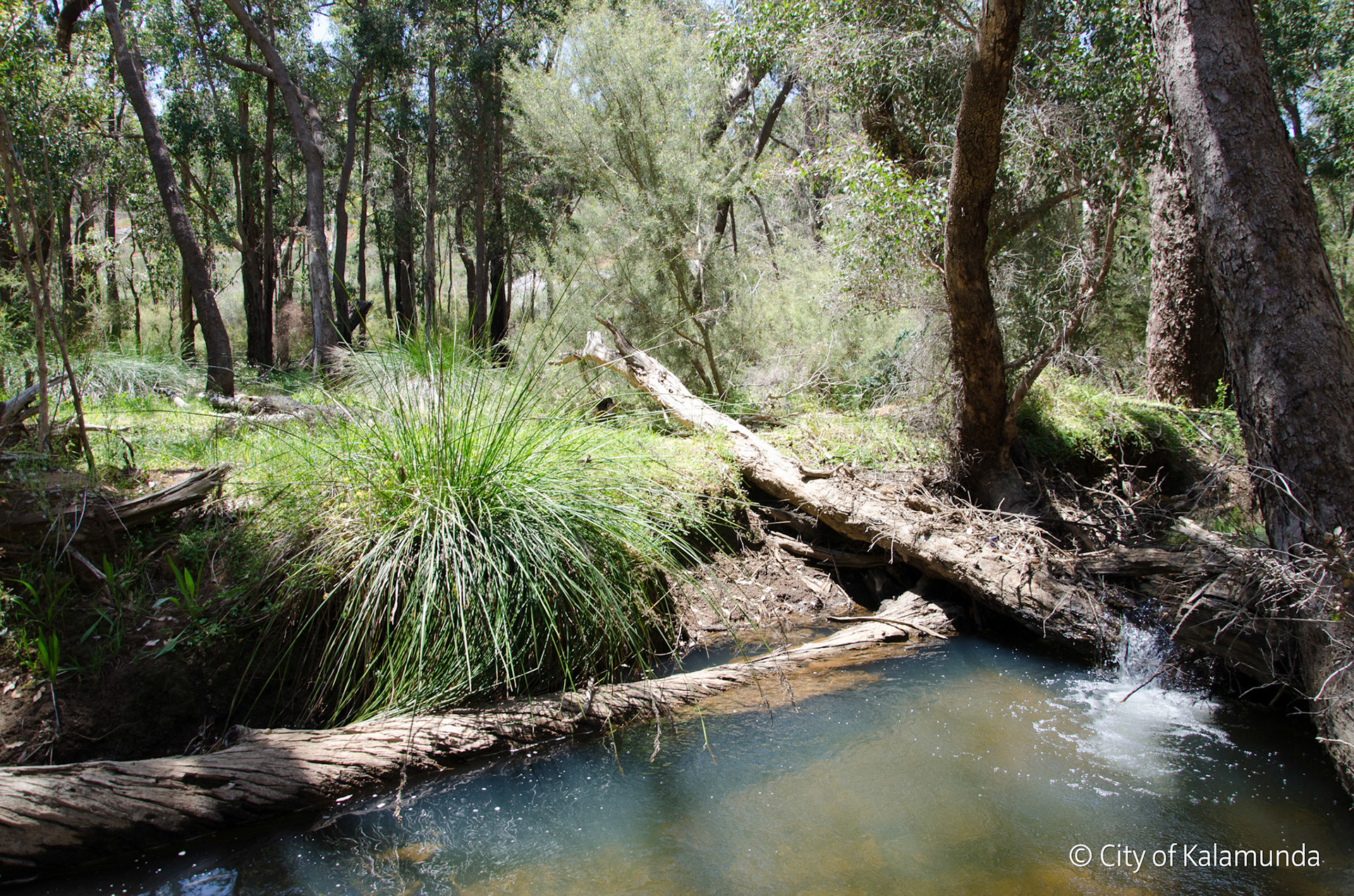 Piesse Brook