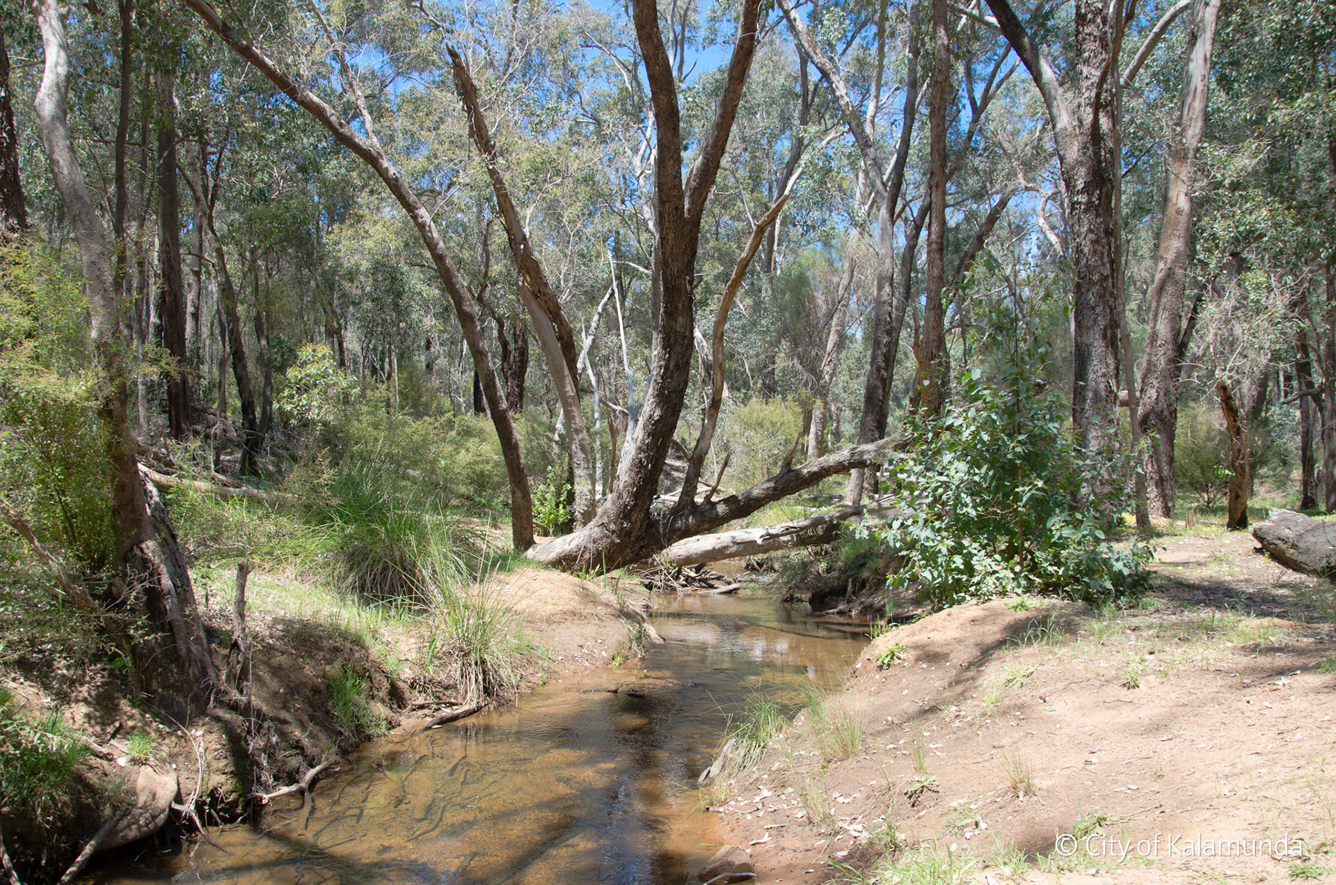 Piesse Brook