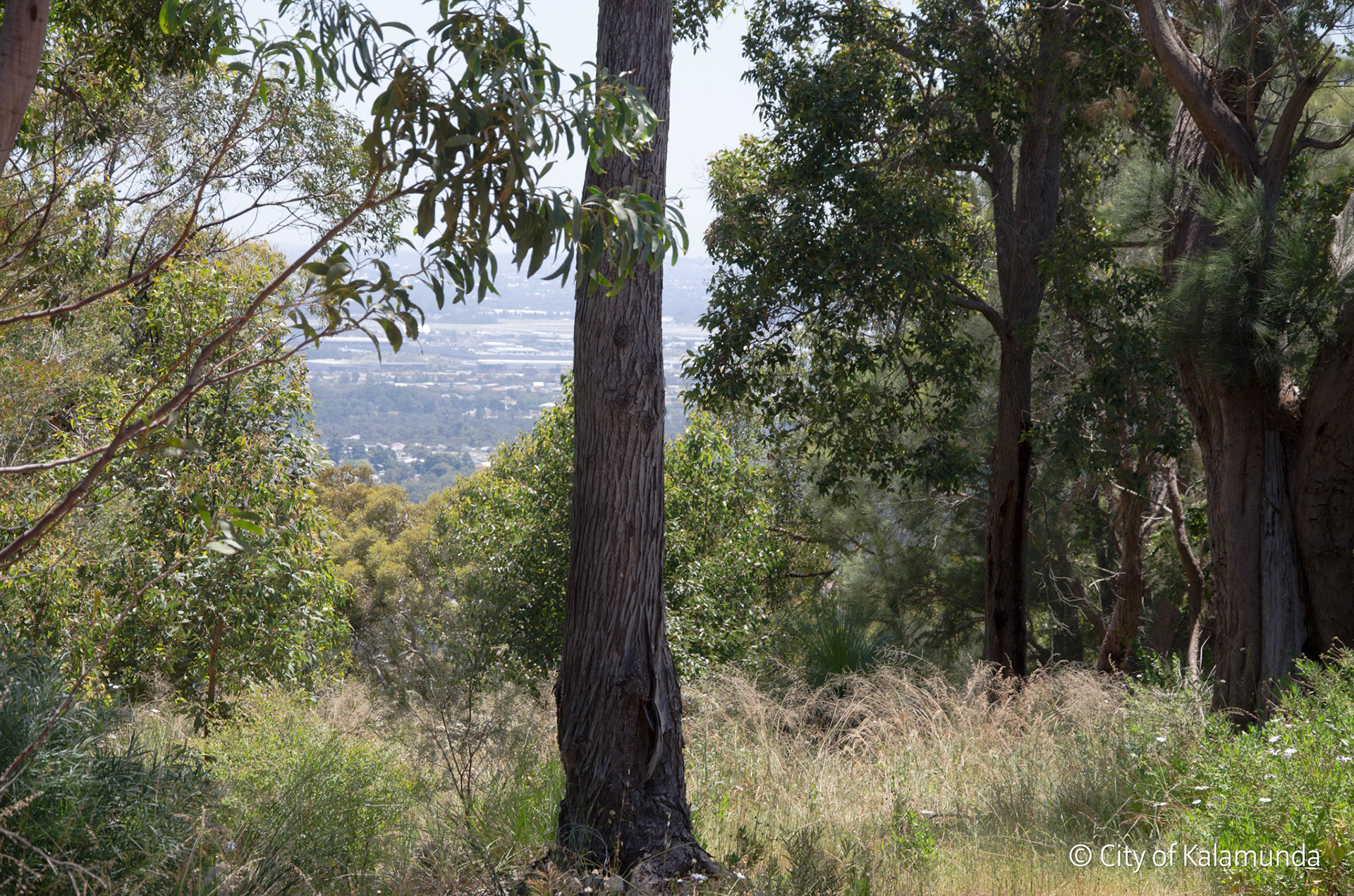 Kalamunda