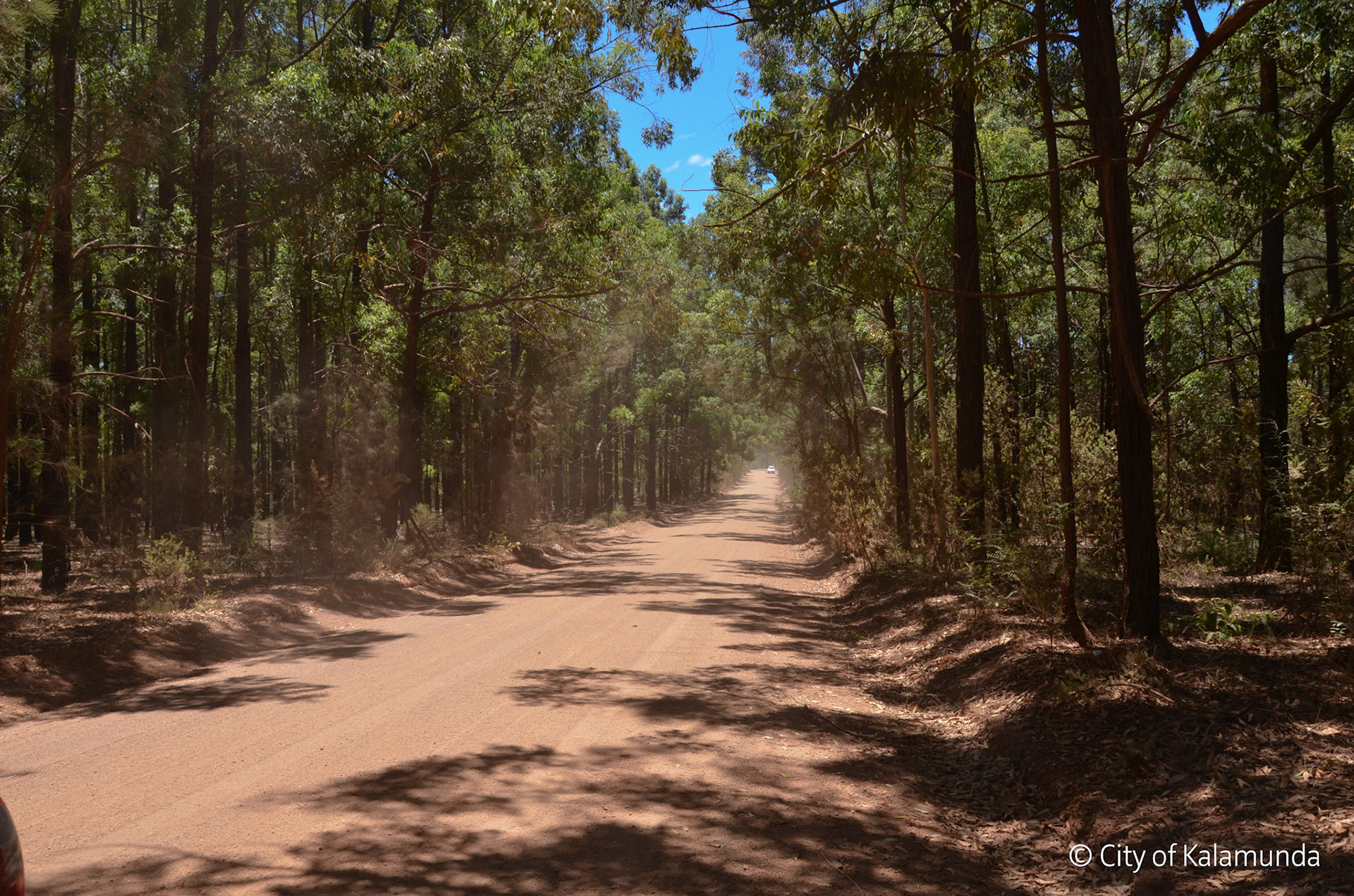 Hacketts gully