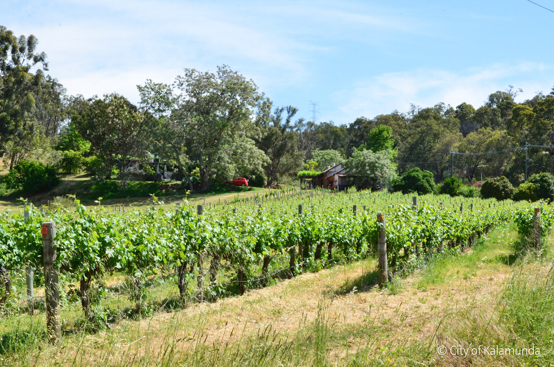 Kalamunda