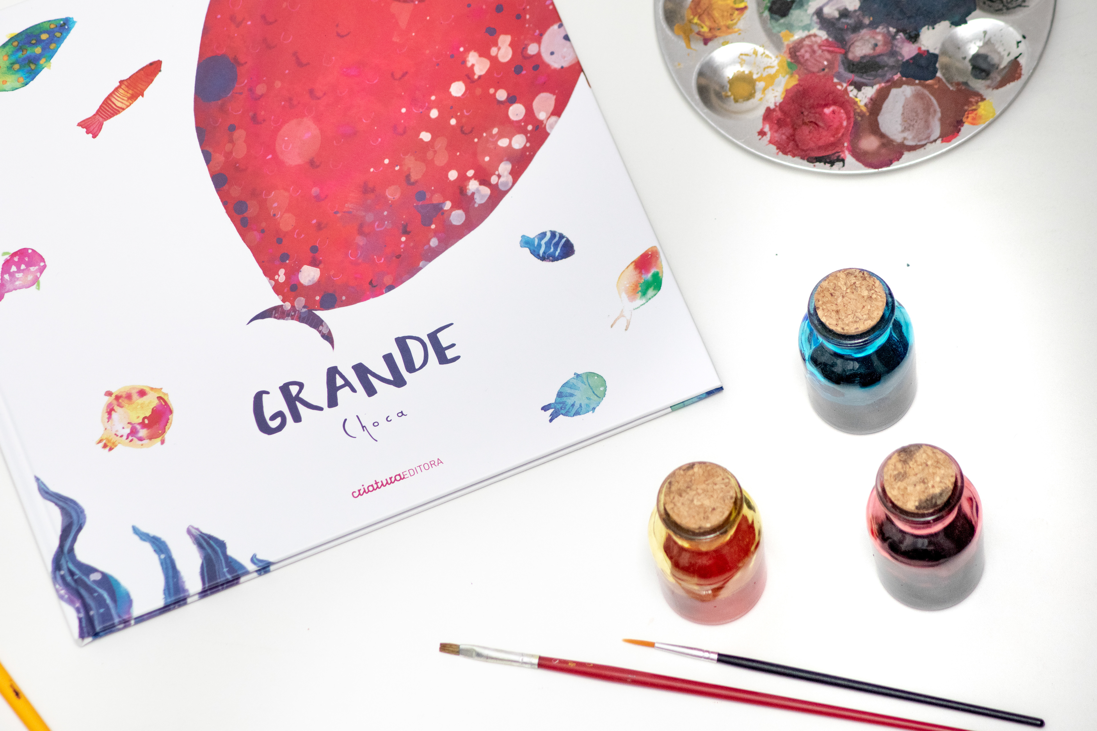 Libro Infantil Grande - Pablo Choca