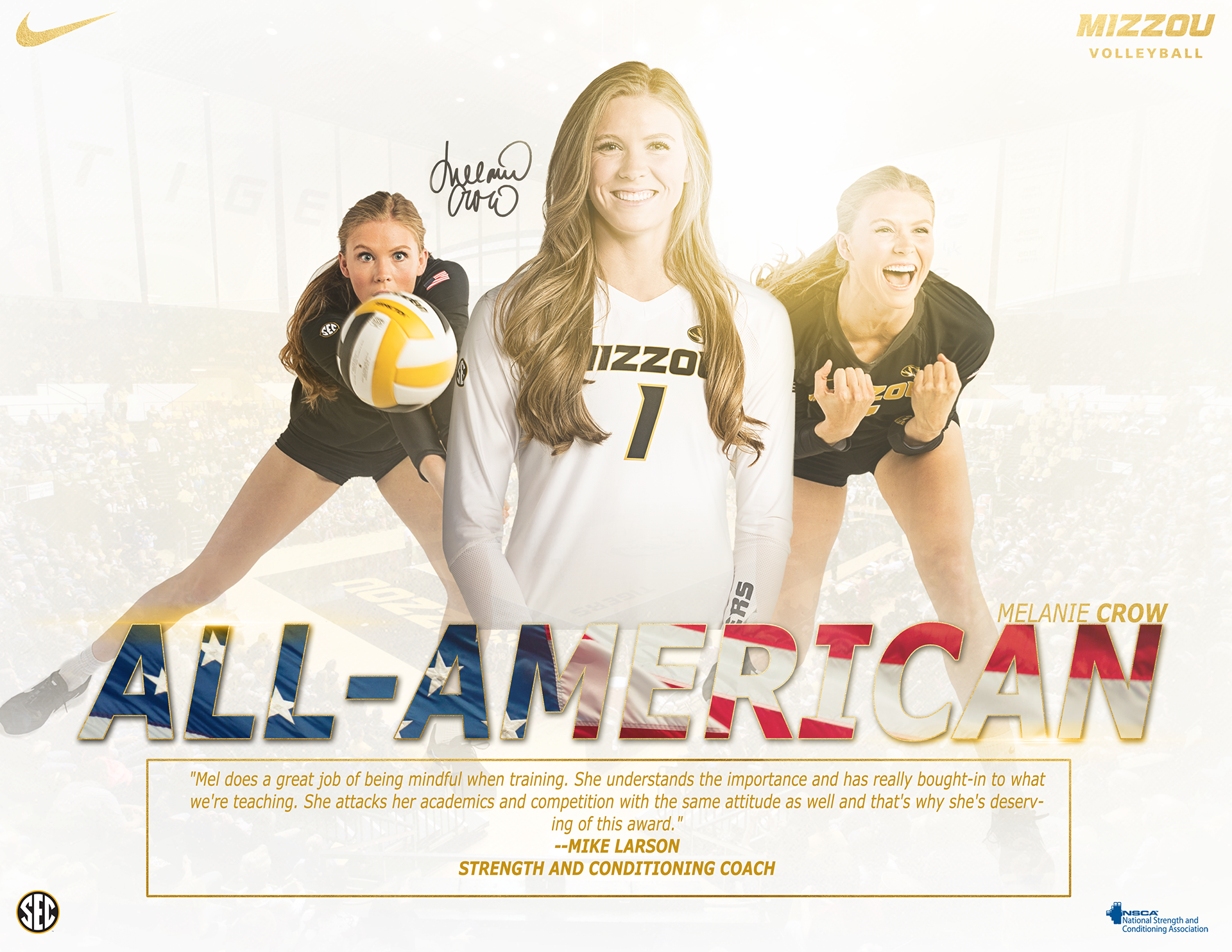 Portfolio Graphic Designer/Art Director Alex Lofaro Mizzou Volleyball