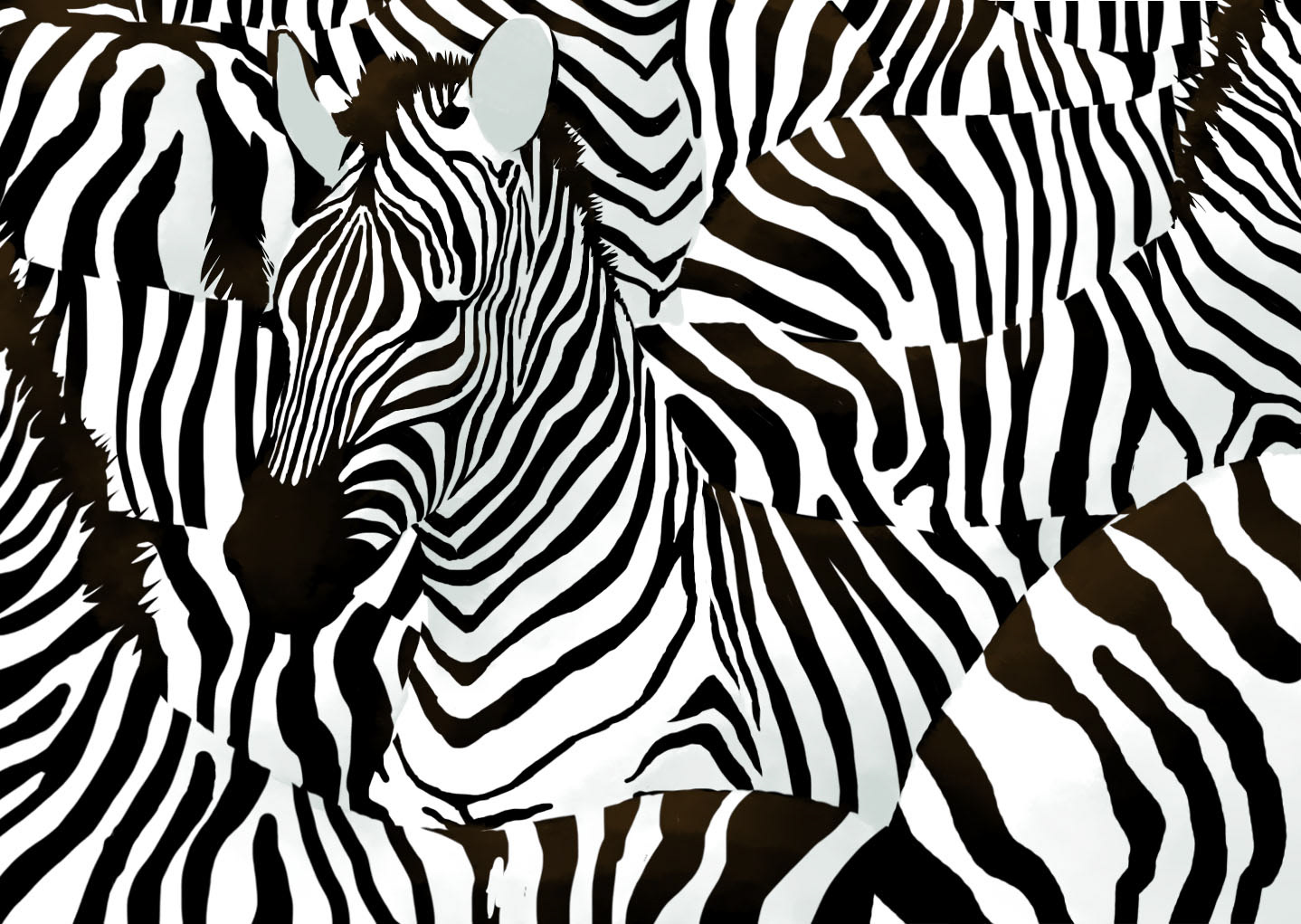 Zebras; Digital
