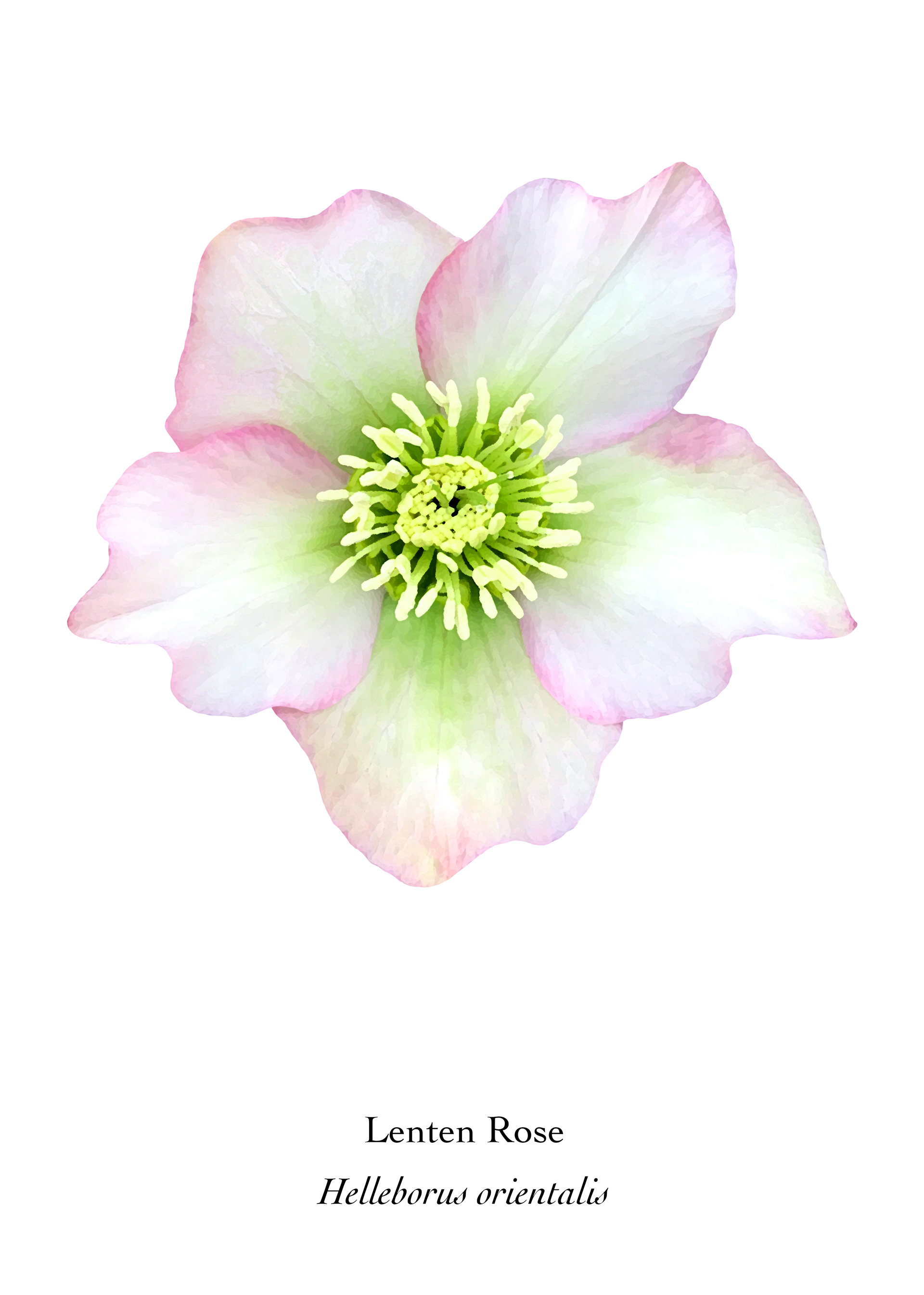 Available at: https://displate.com/displate/2145644