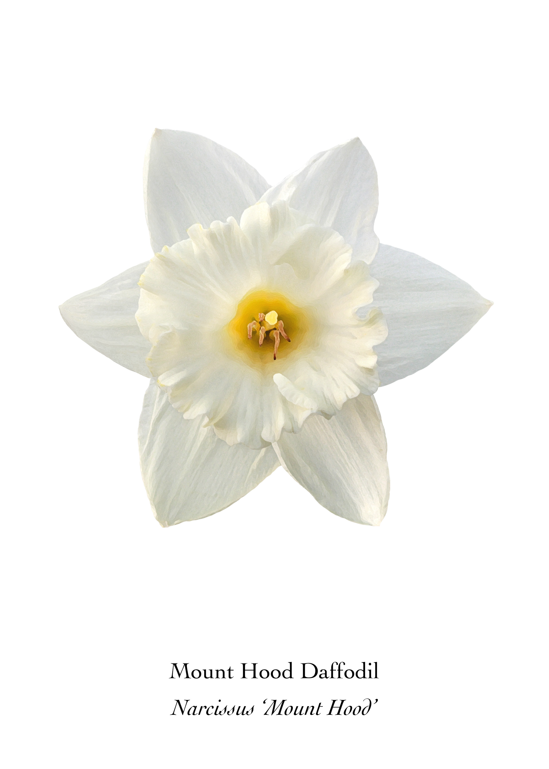 Available at: https://displate.com/displate/1493782