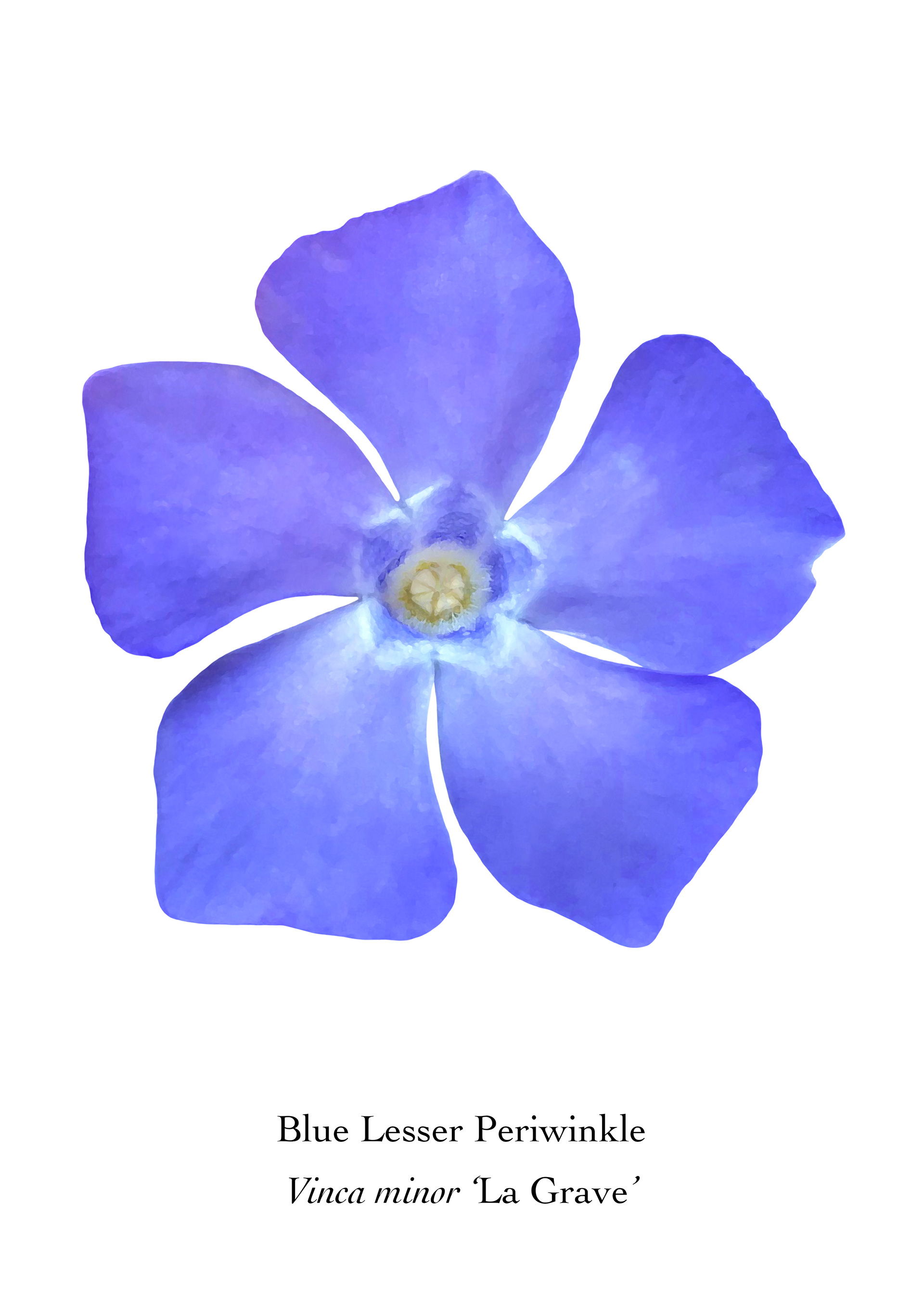 Available at: https://displate.com/displate/1872922