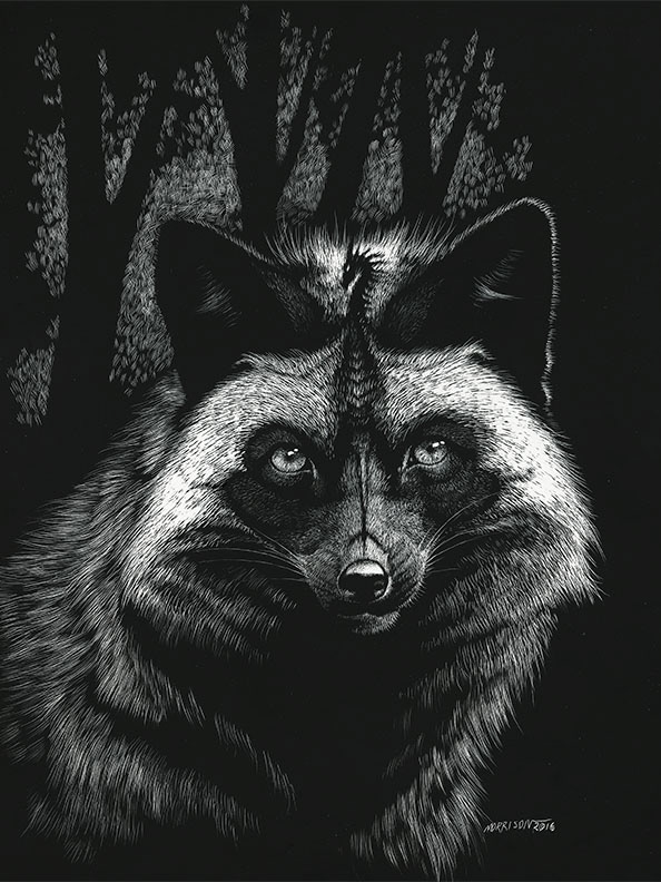 SILVER DRAGON FOX