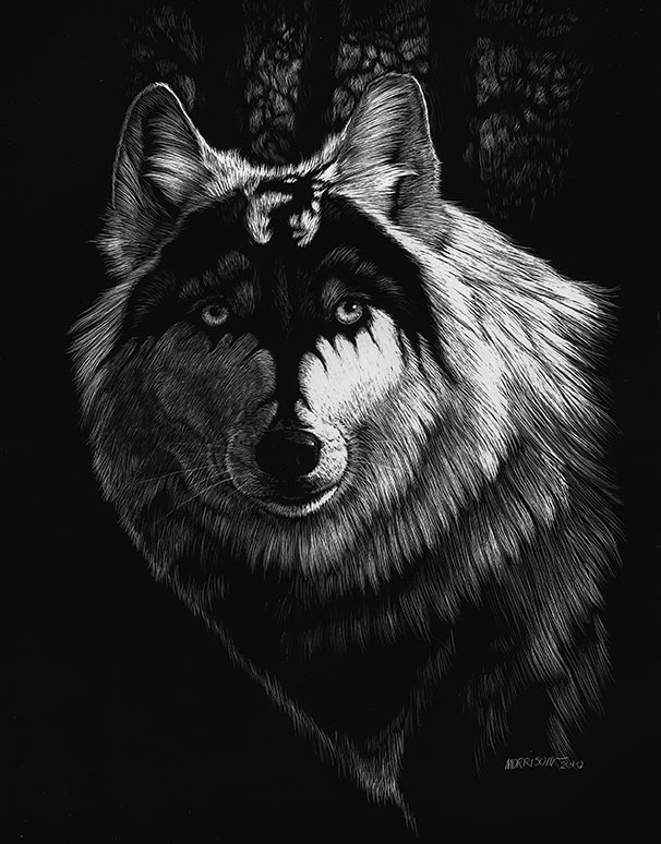 DRAGON WOLF