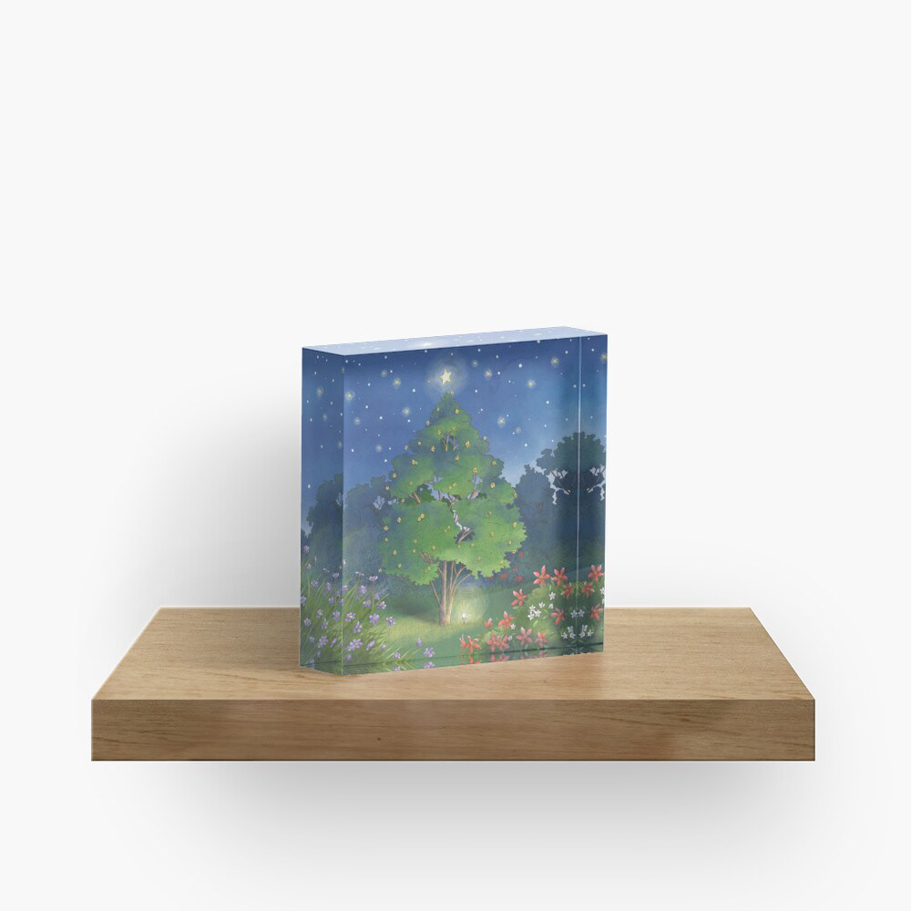 Acrylic Block