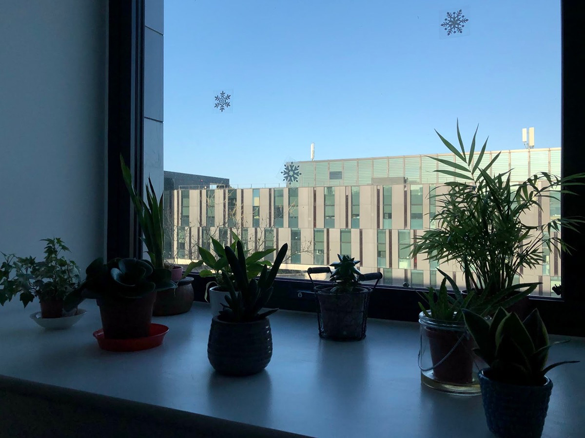 window sill in my office