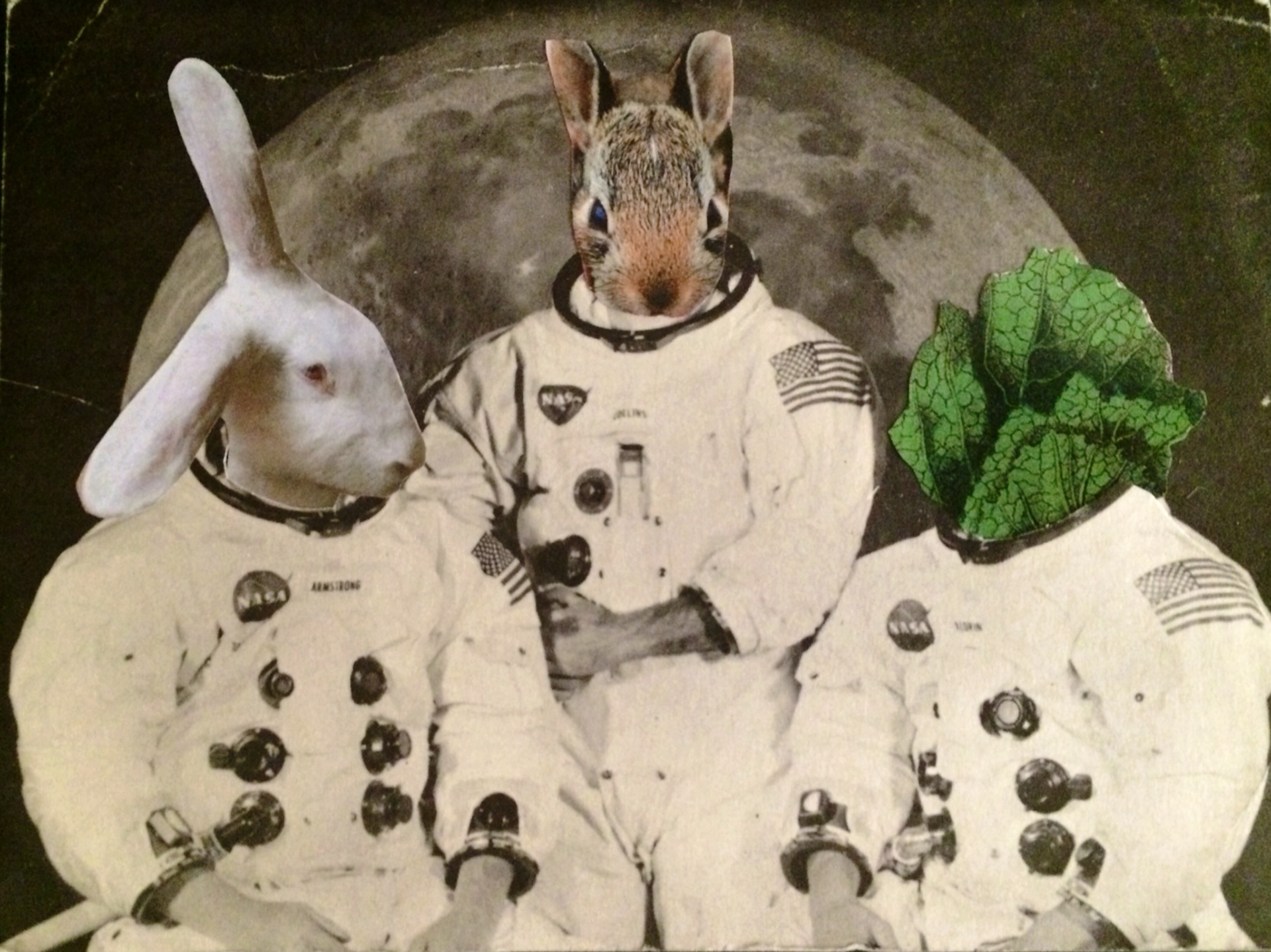 Houston, we have a problem (2019) 