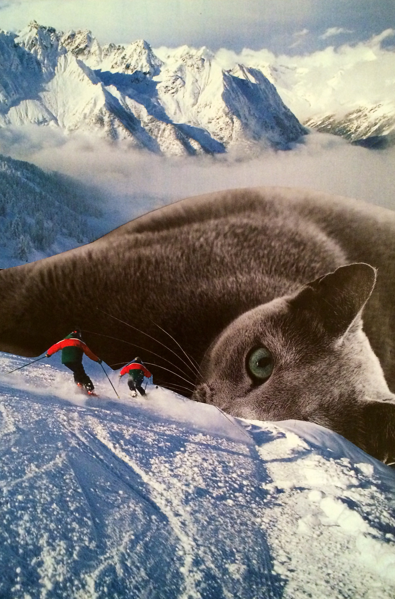 Koci grzbiet / Cat stretch (2016)