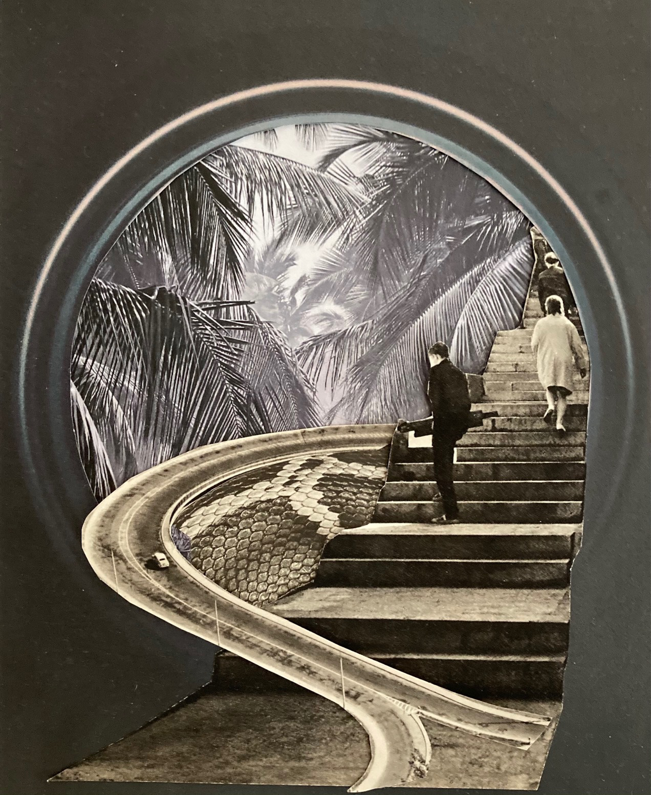 Jungle - Februllage 2021 