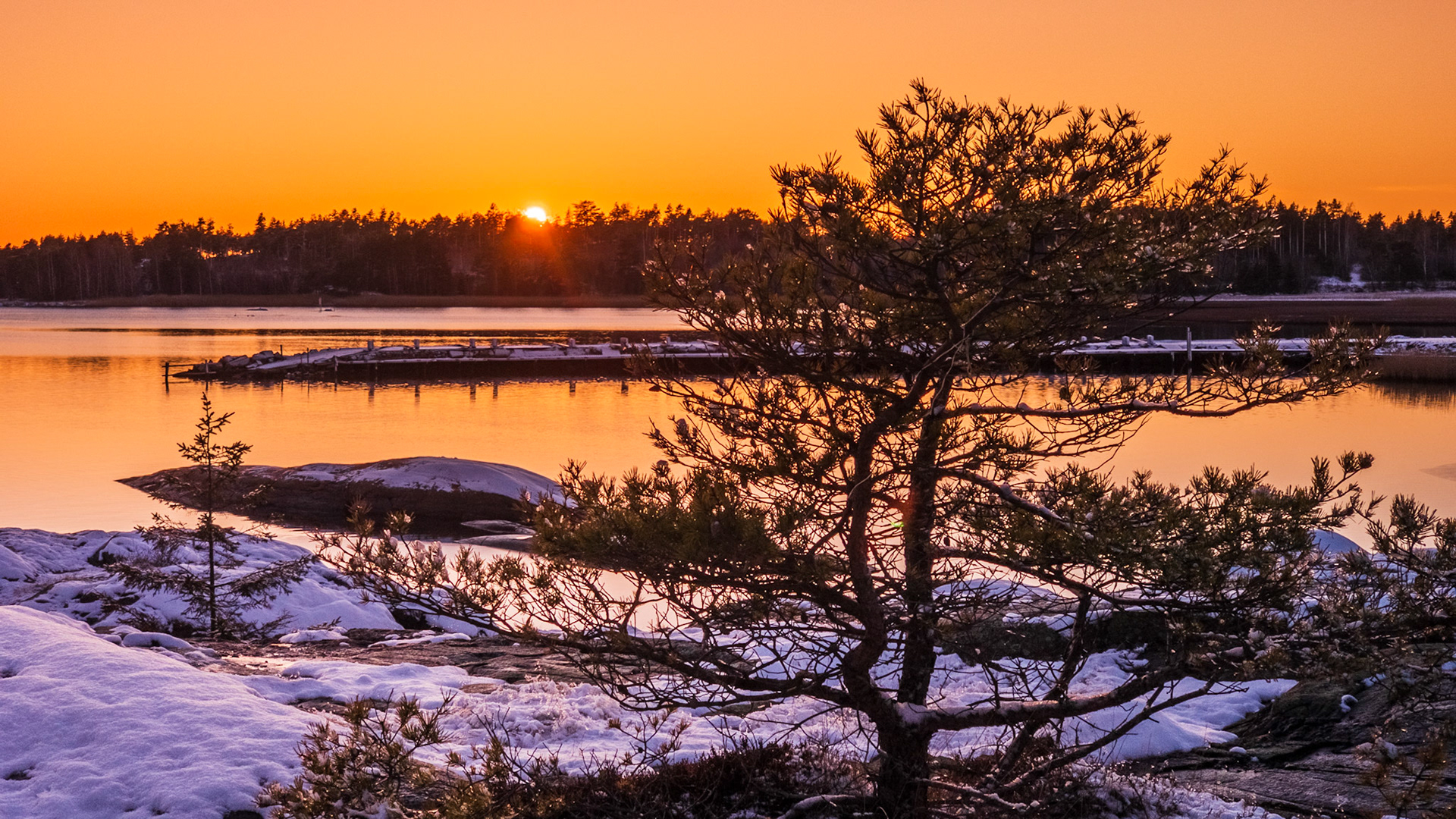Torsnes Feb-20