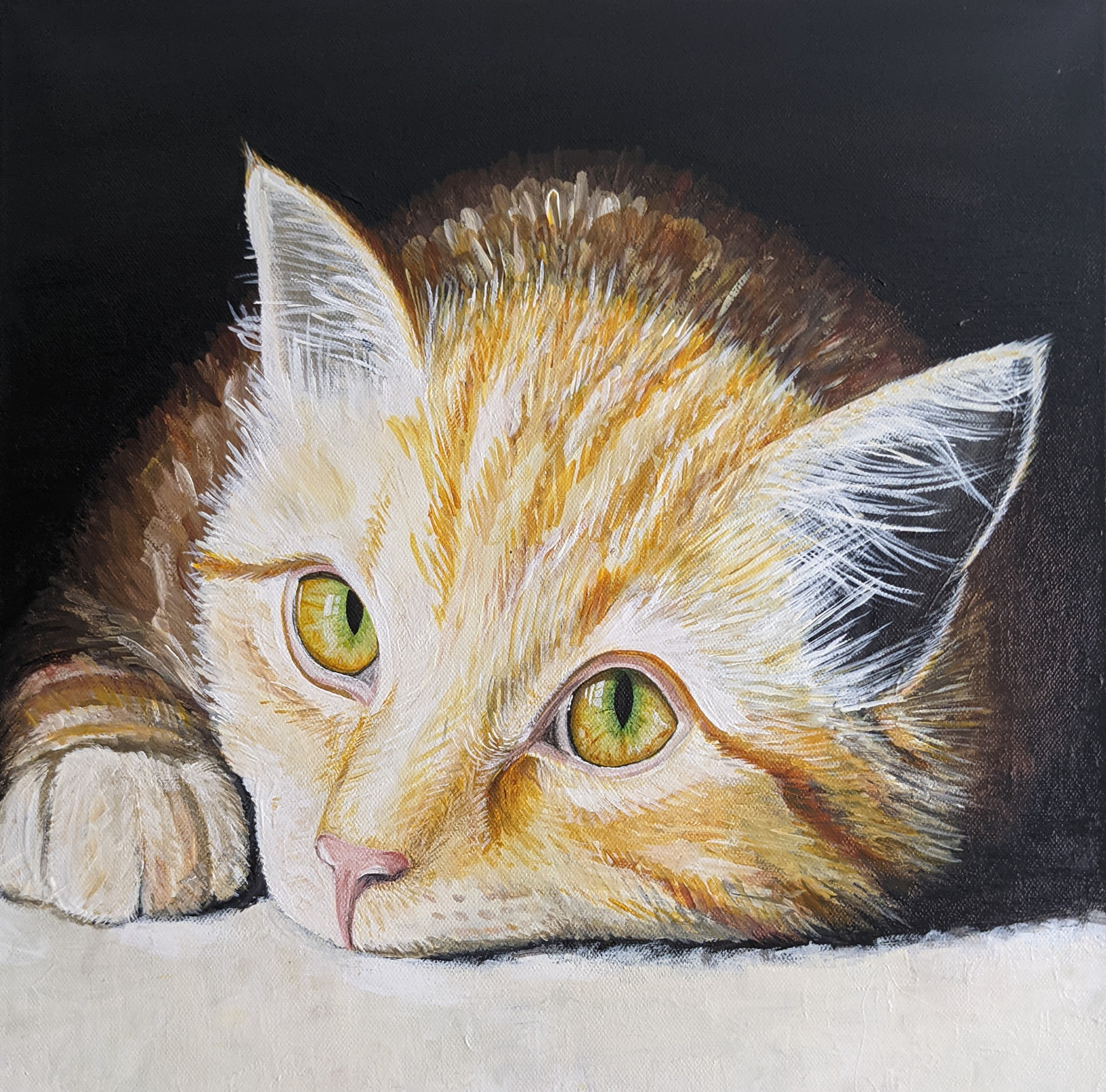 Bob, 2016