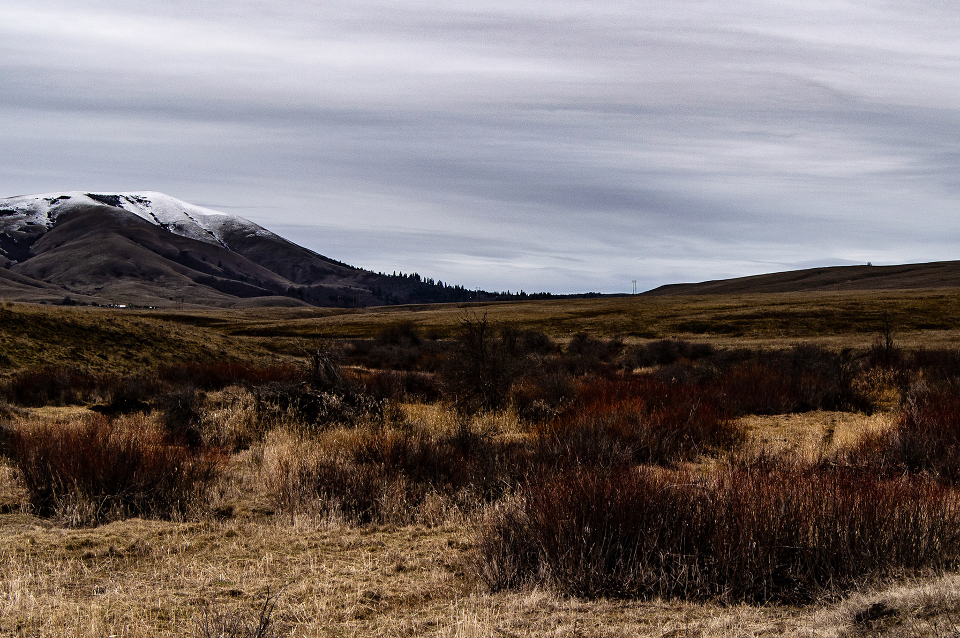 View along Swale Canyon Trail, Klickitat County, WA