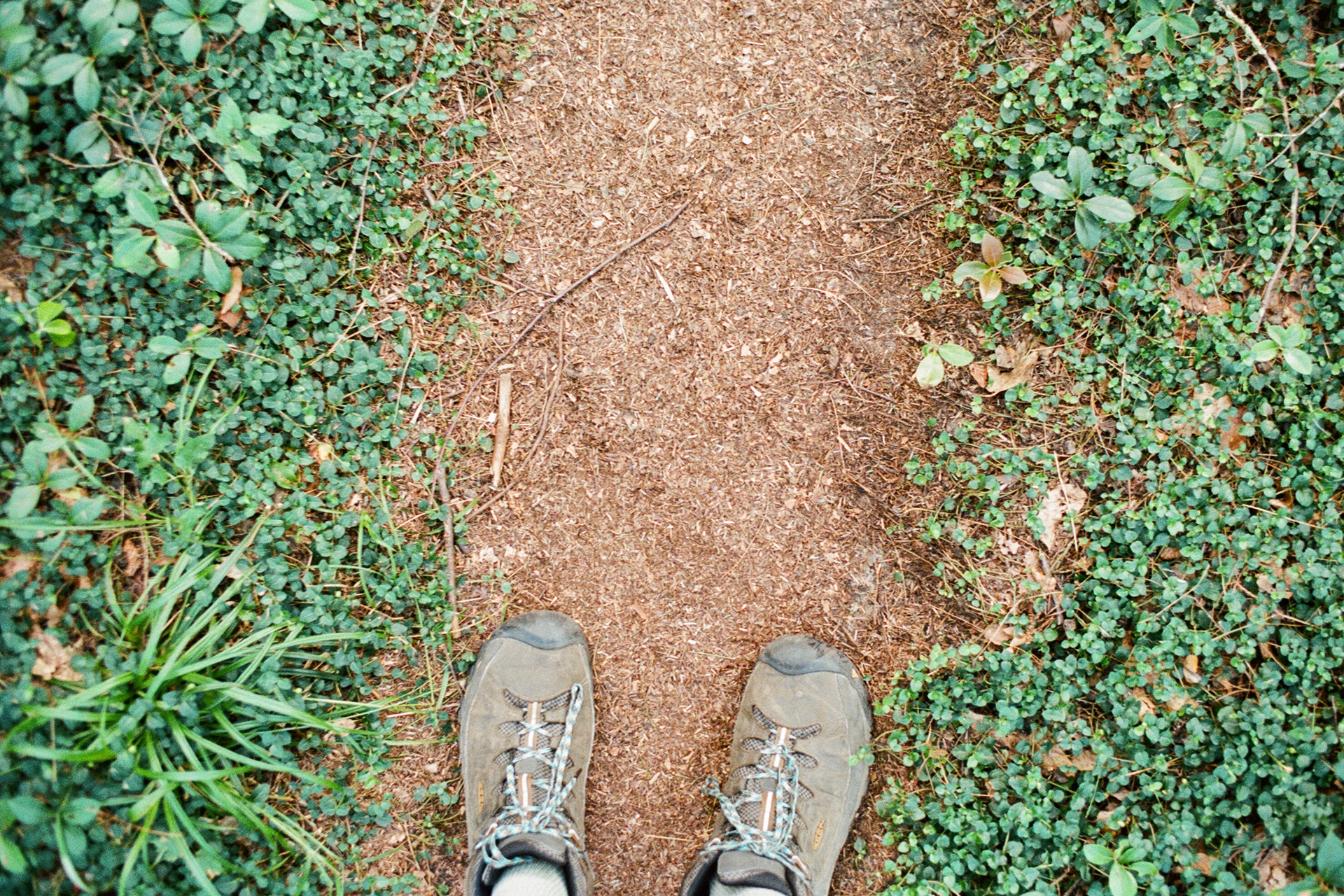Trail