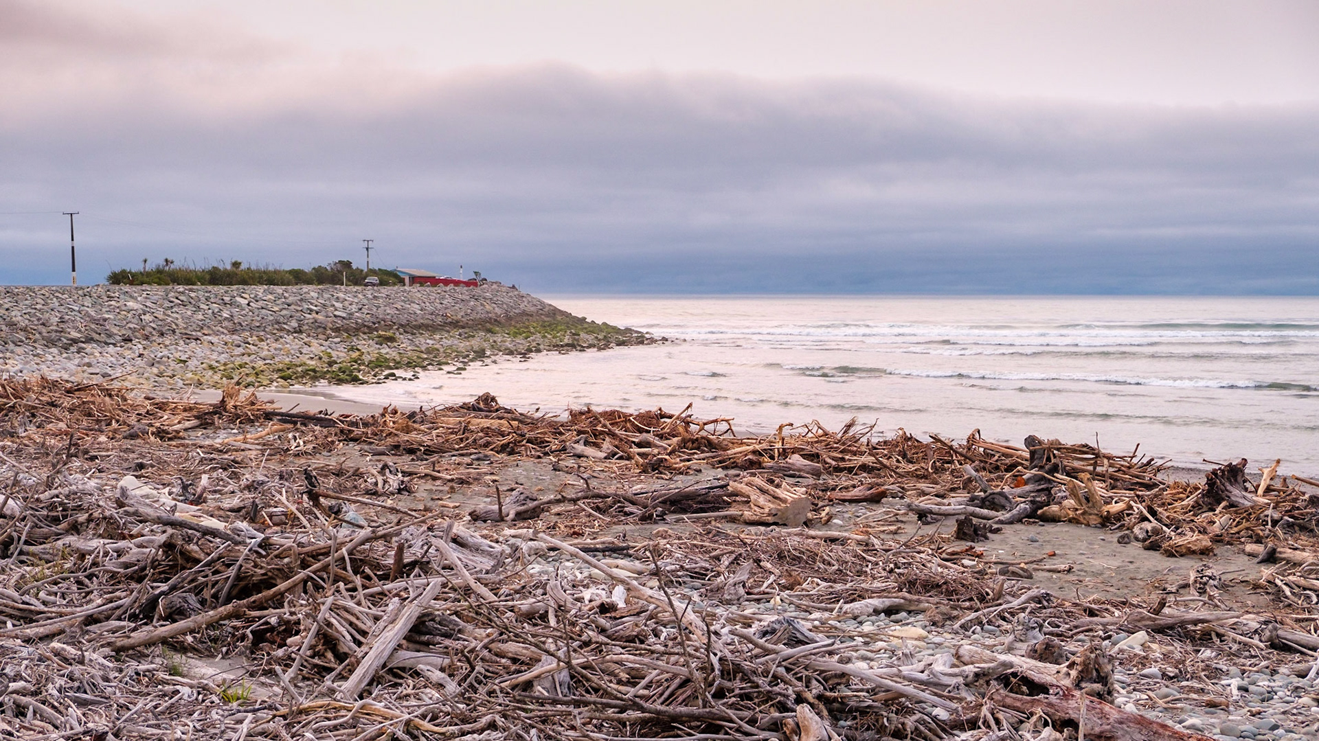 freedom camping copden beach
